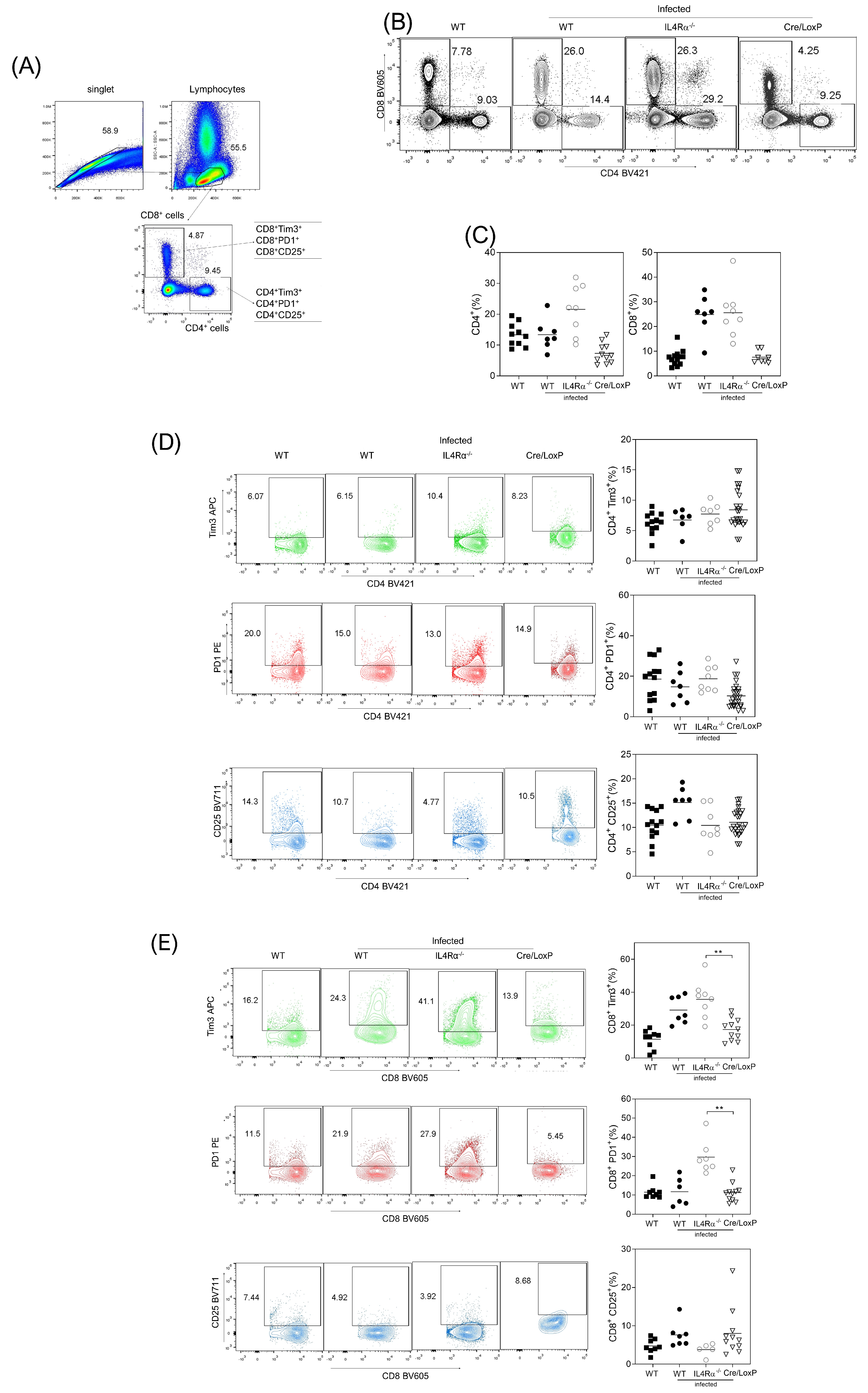 Pathogens 13 00169 g005 Pathogens 13 00169 g005