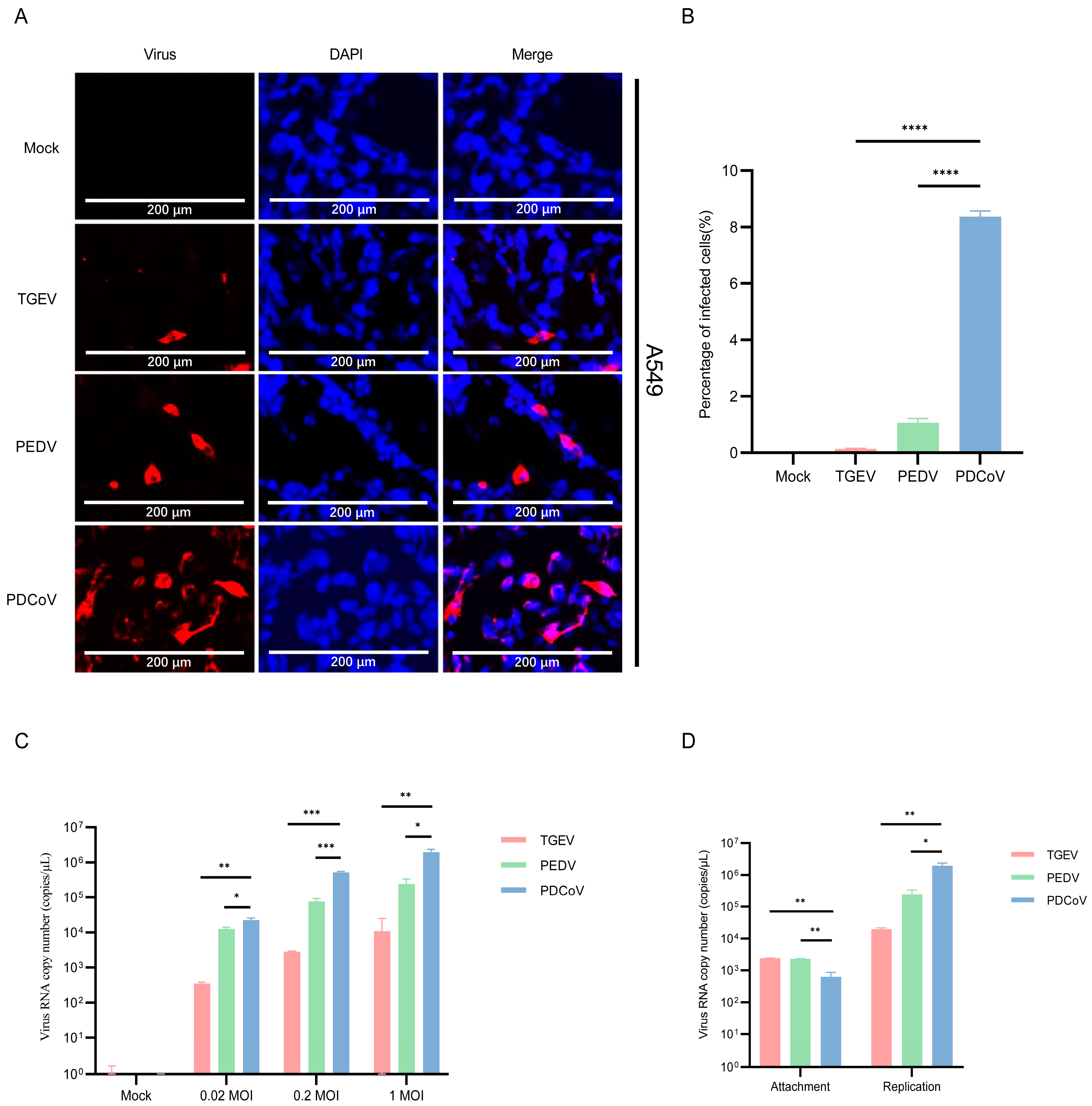 Pathogens 13 00174 g001