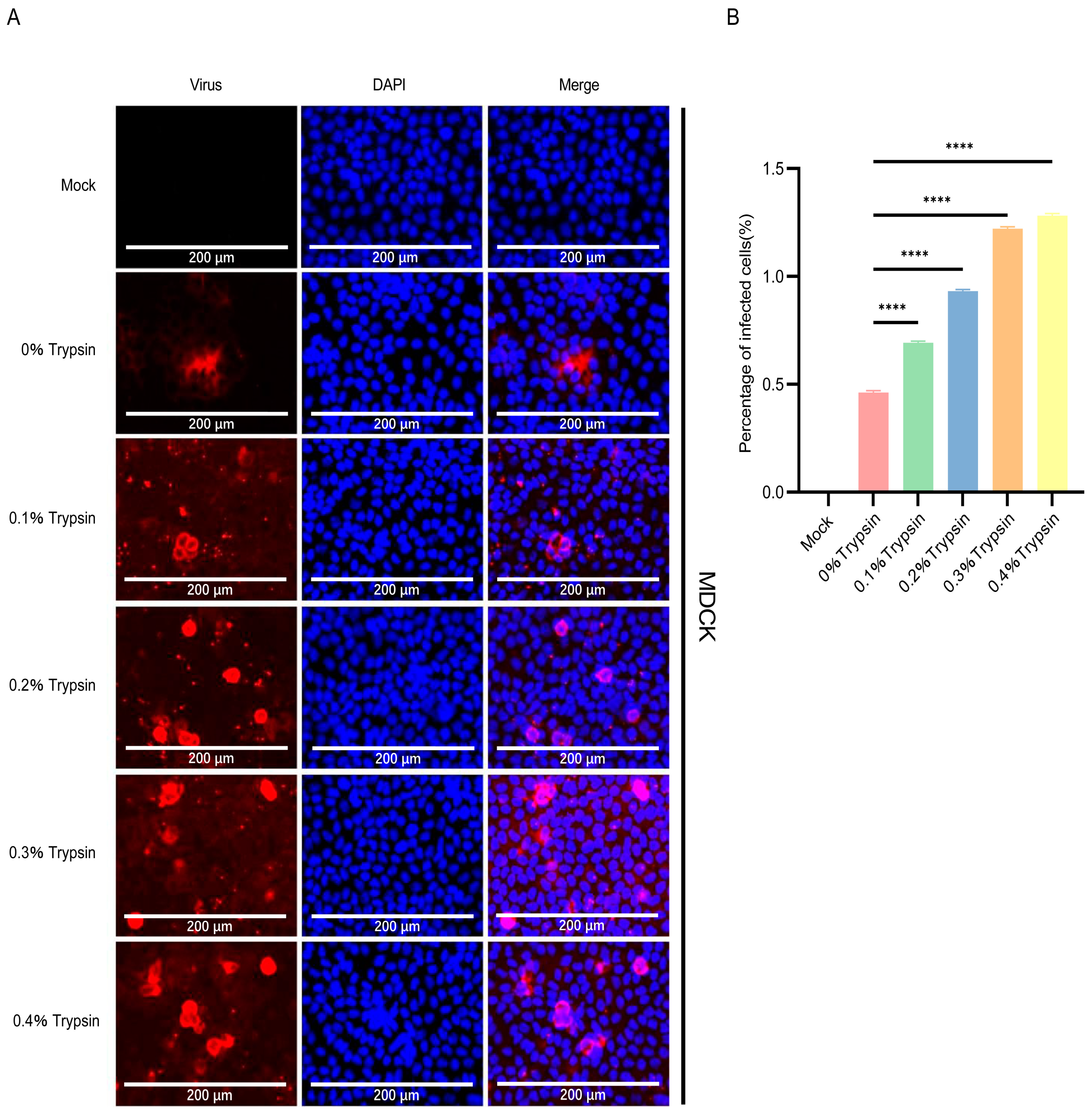 Pathogens 13 00174 g004