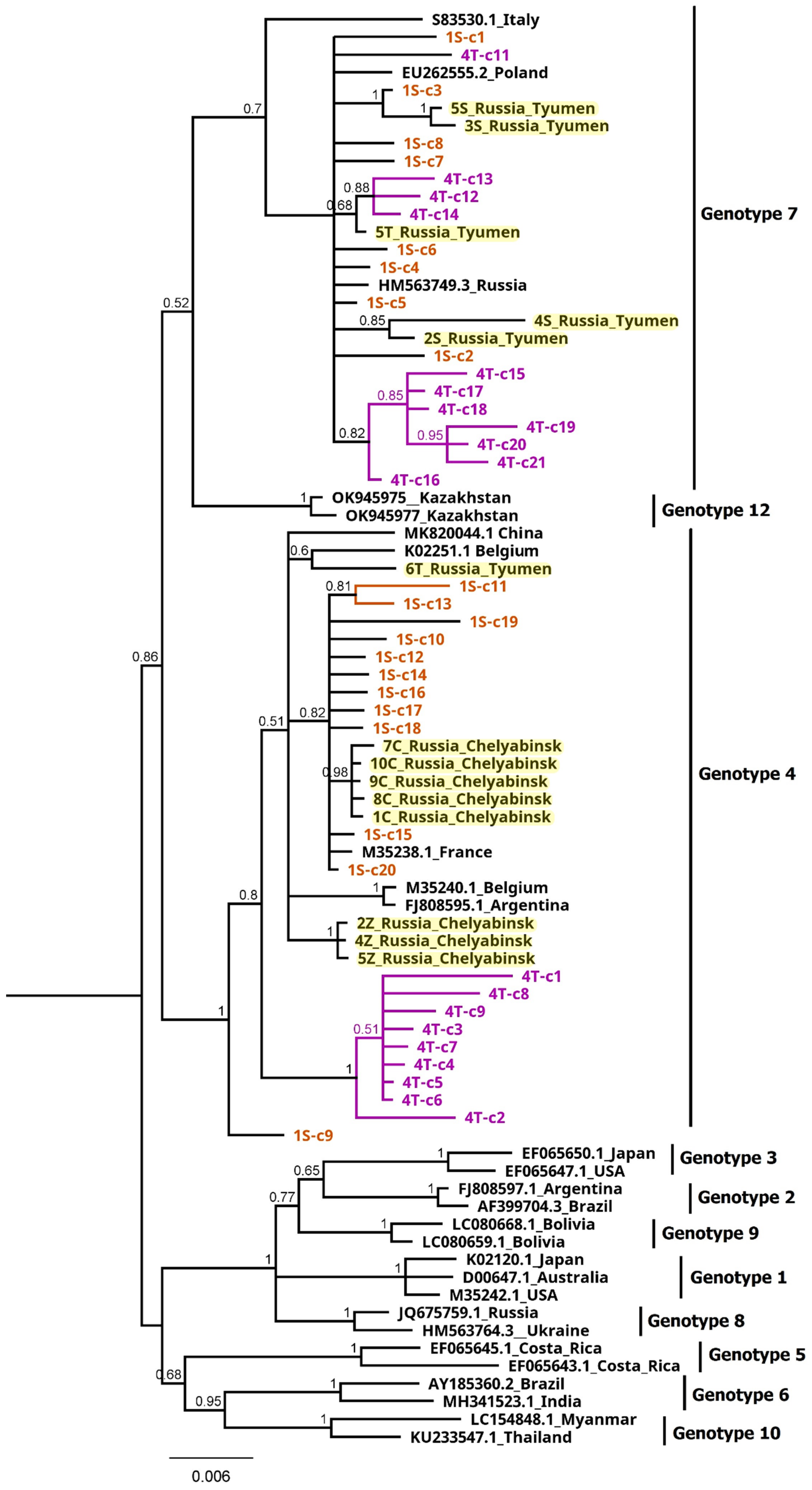 Pathogens 13 00178 g004