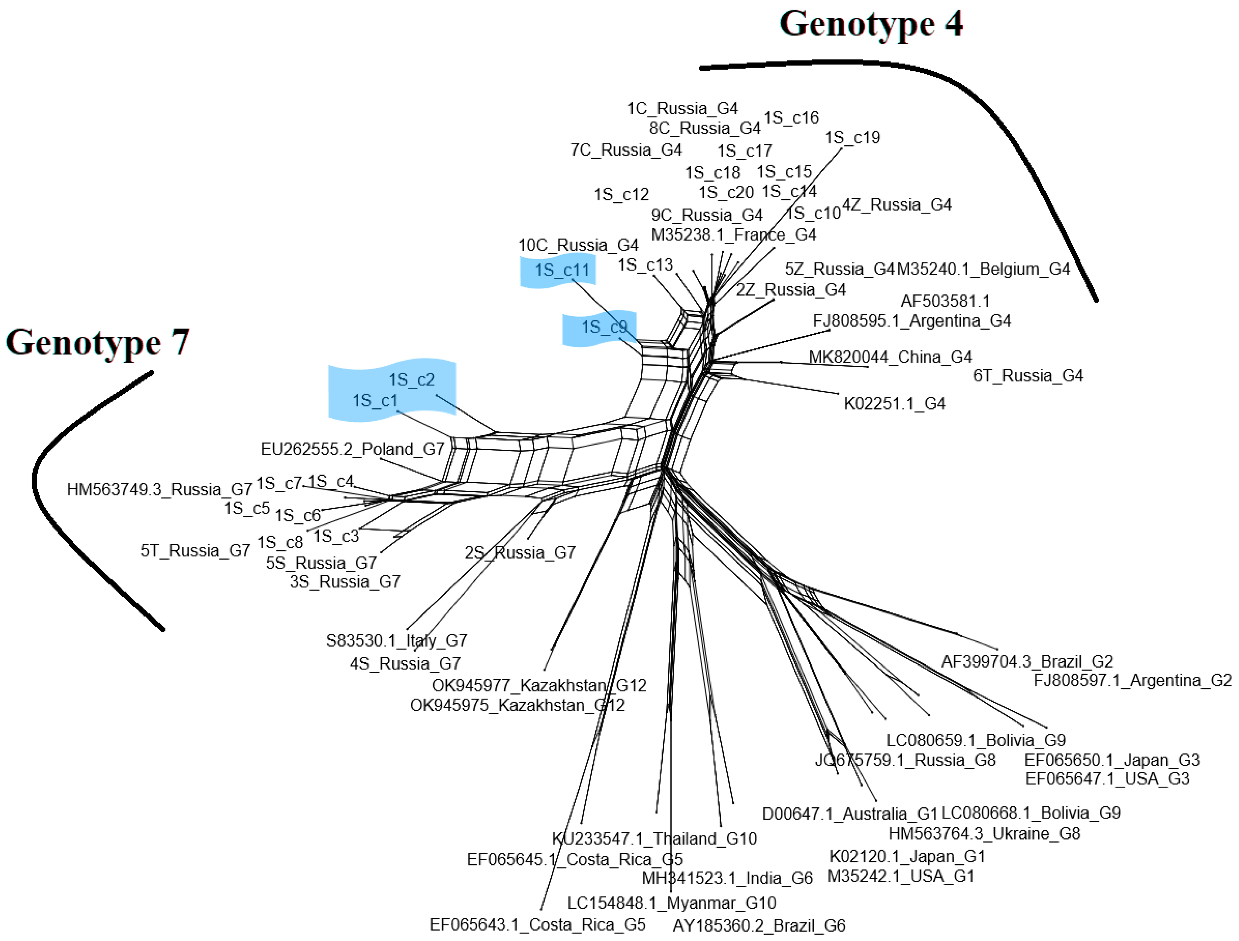 Pathogens 13 00178 g005