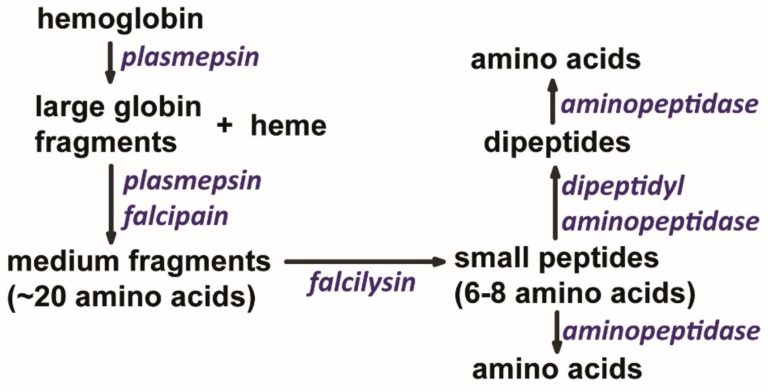 Pathogens 13 00182 g002