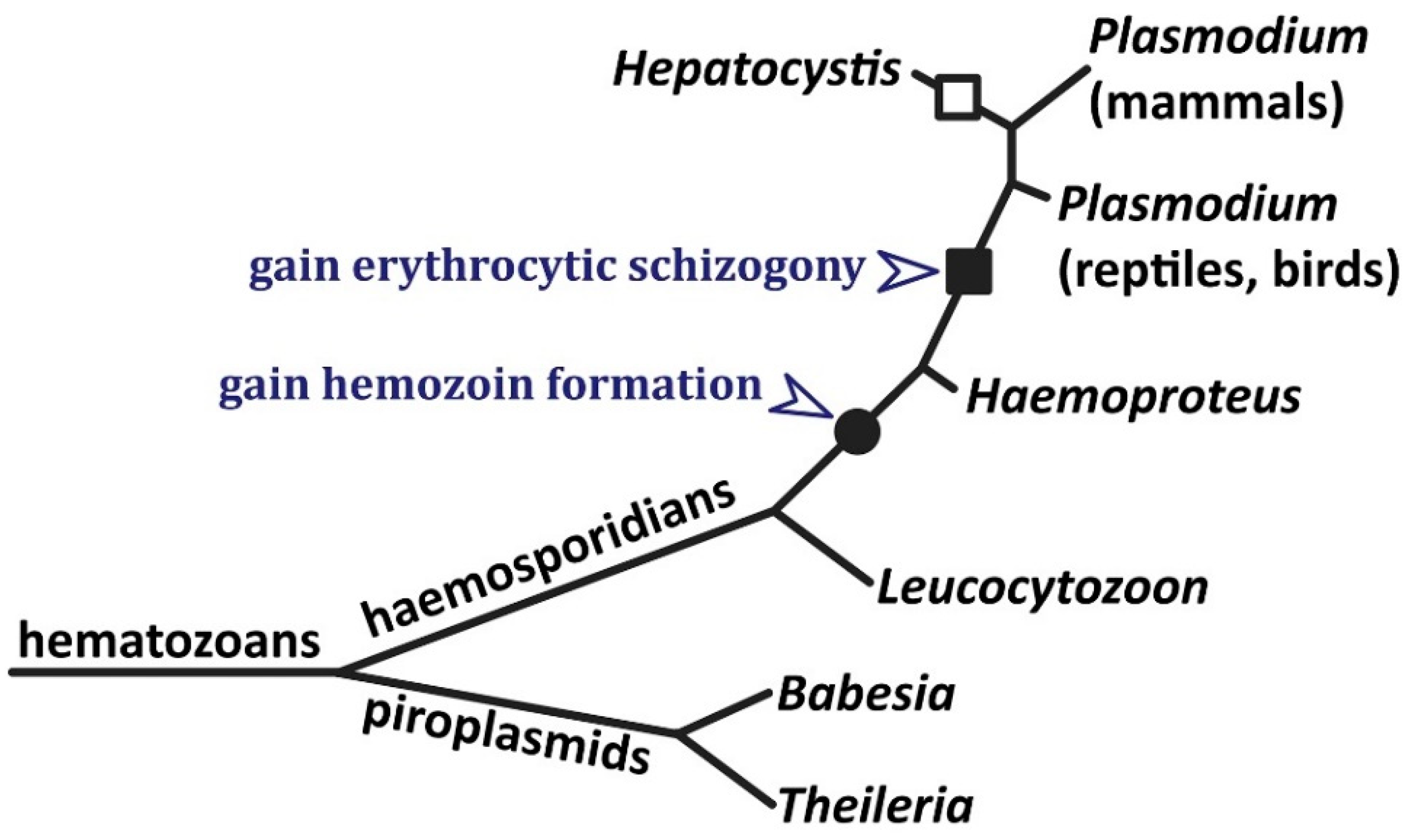 Pathogens 13 00182 g003
