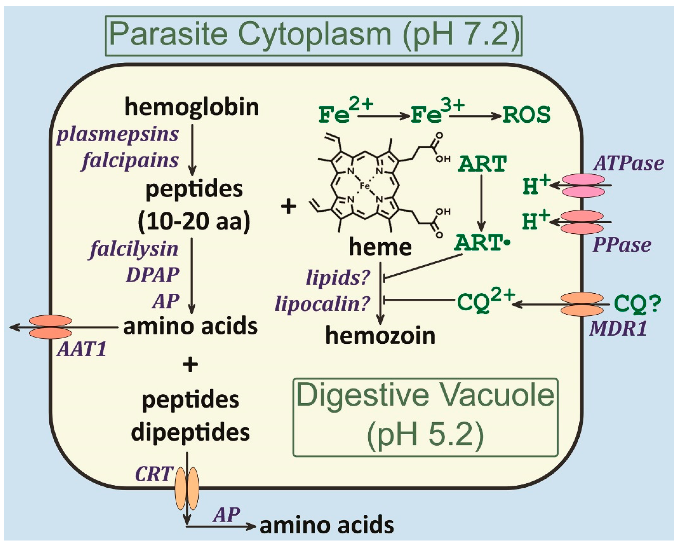 Pathogens 13 00182 g004