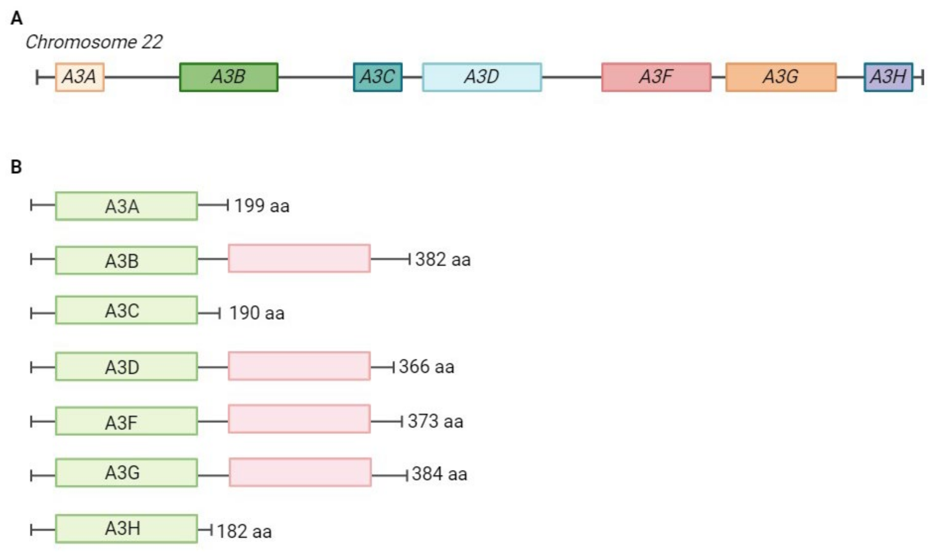 Pathogens 13 00187 g002 Pathogens 13 00187 g002