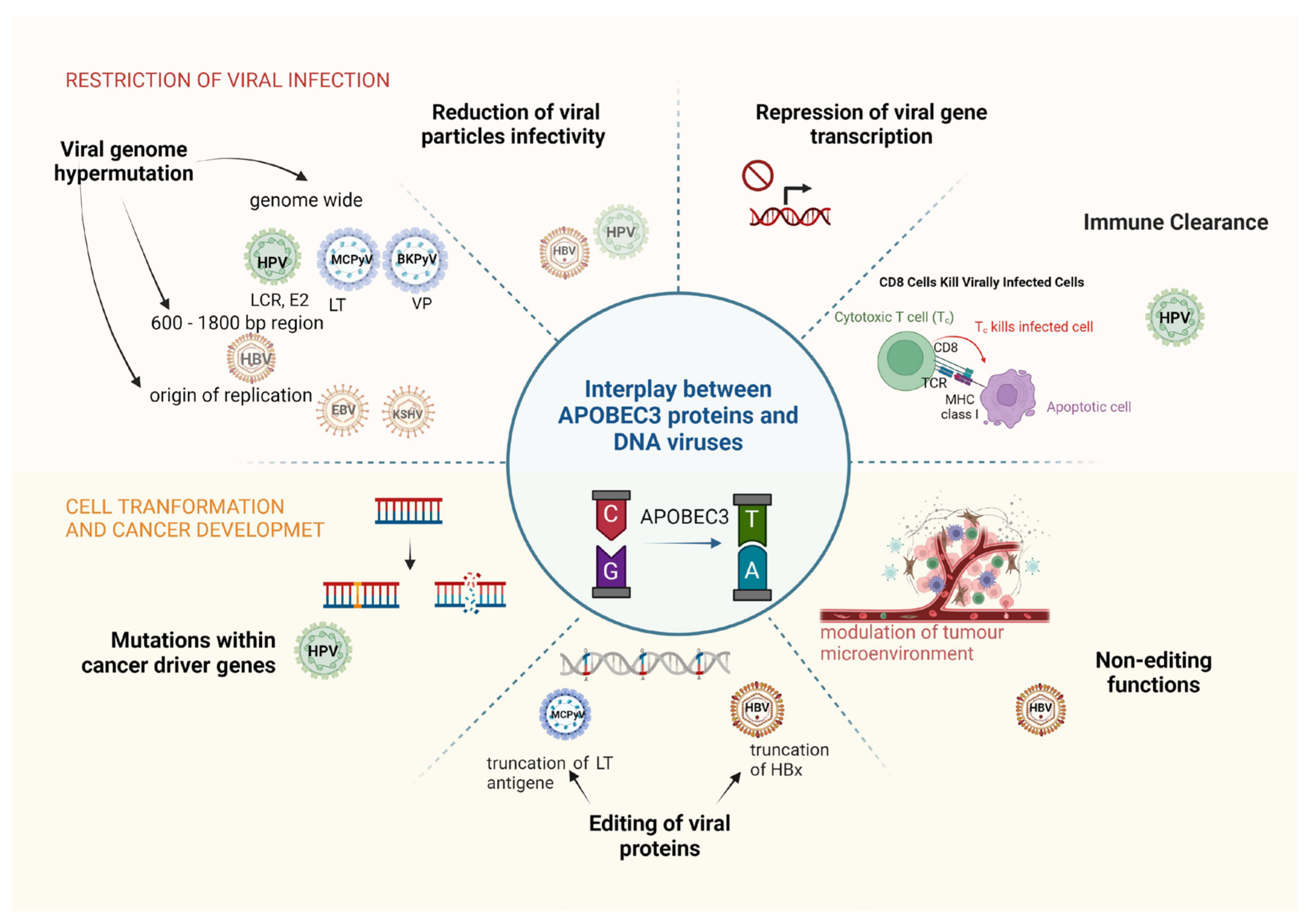 Pathogens 13 00187 g003 Pathogens 13 00187 g003