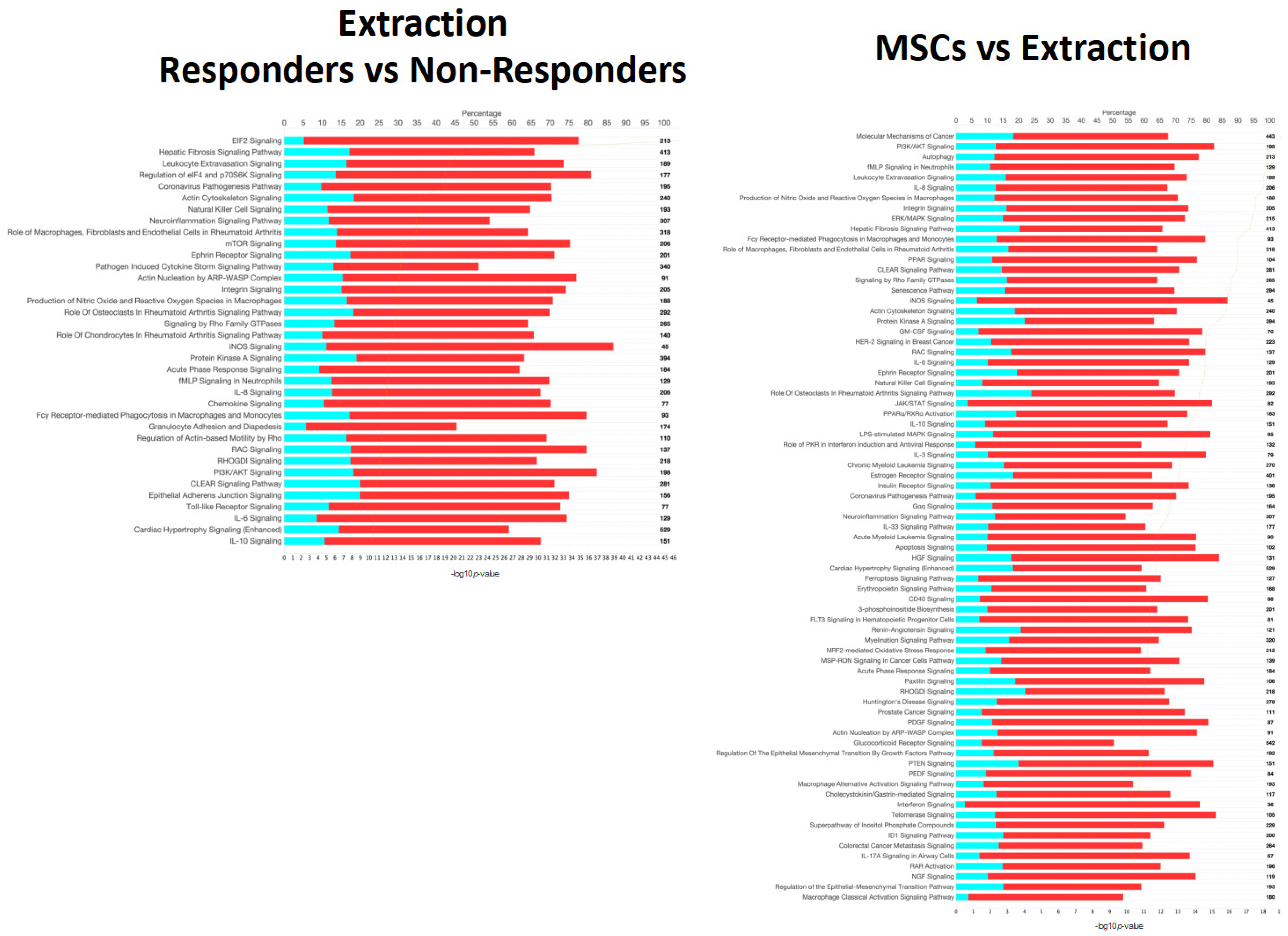Pathogens 13 00192 g006 Pathogens 13 00192 g006