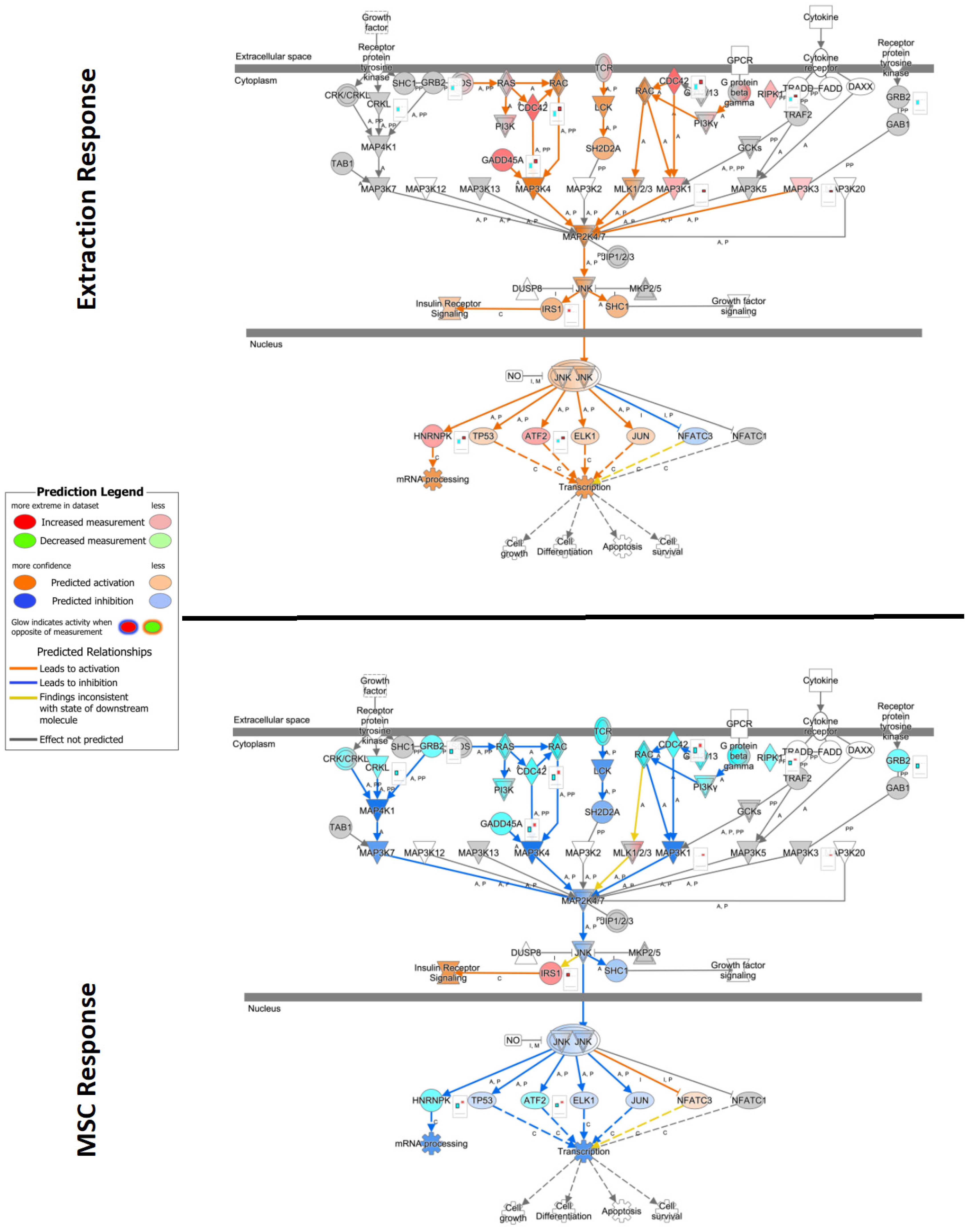 Pathogens 13 00192 g007 Pathogens 13 00192 g007