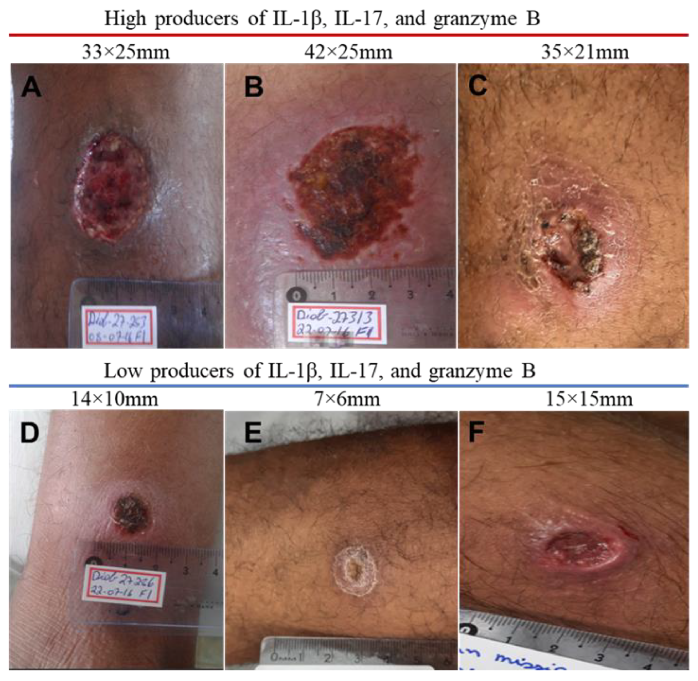 Pathogens 13 00199 g005 Pathogens 13 00199 g005
