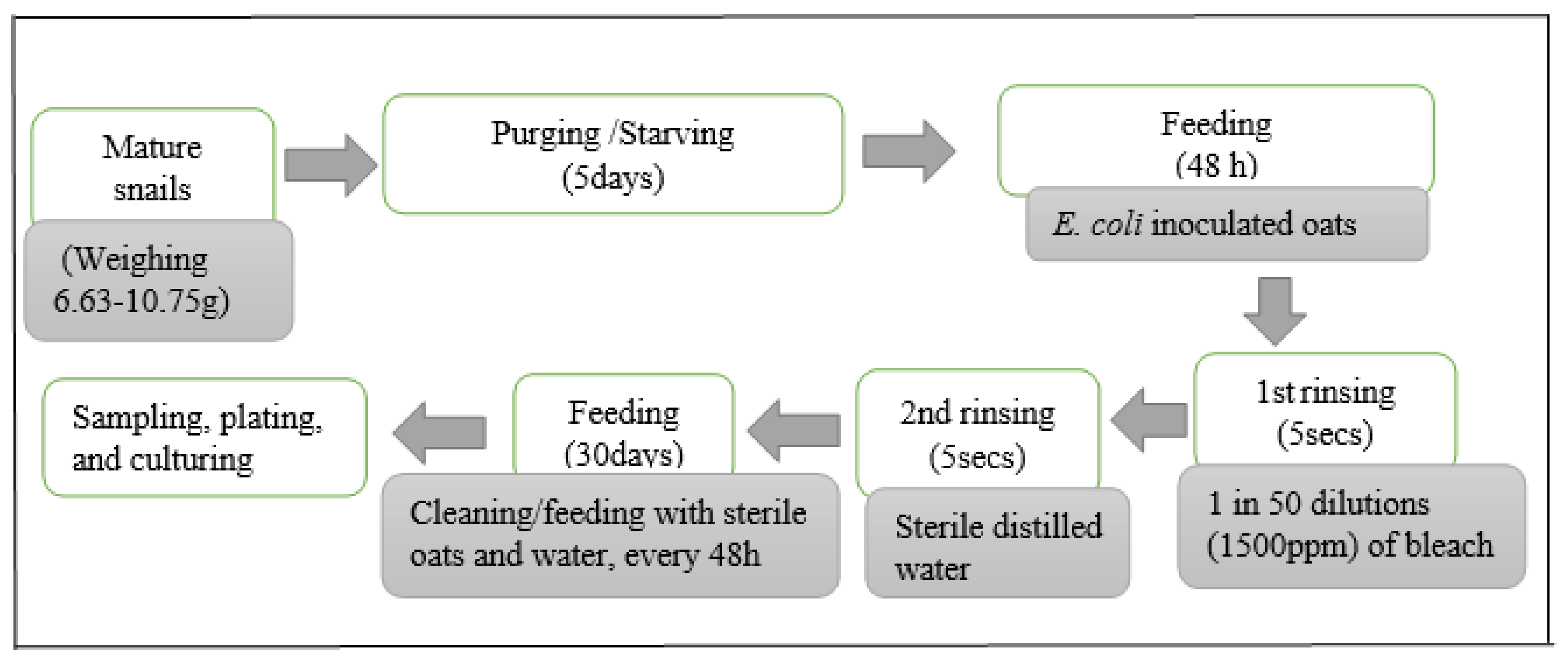 Pathogens 13 00204 g002