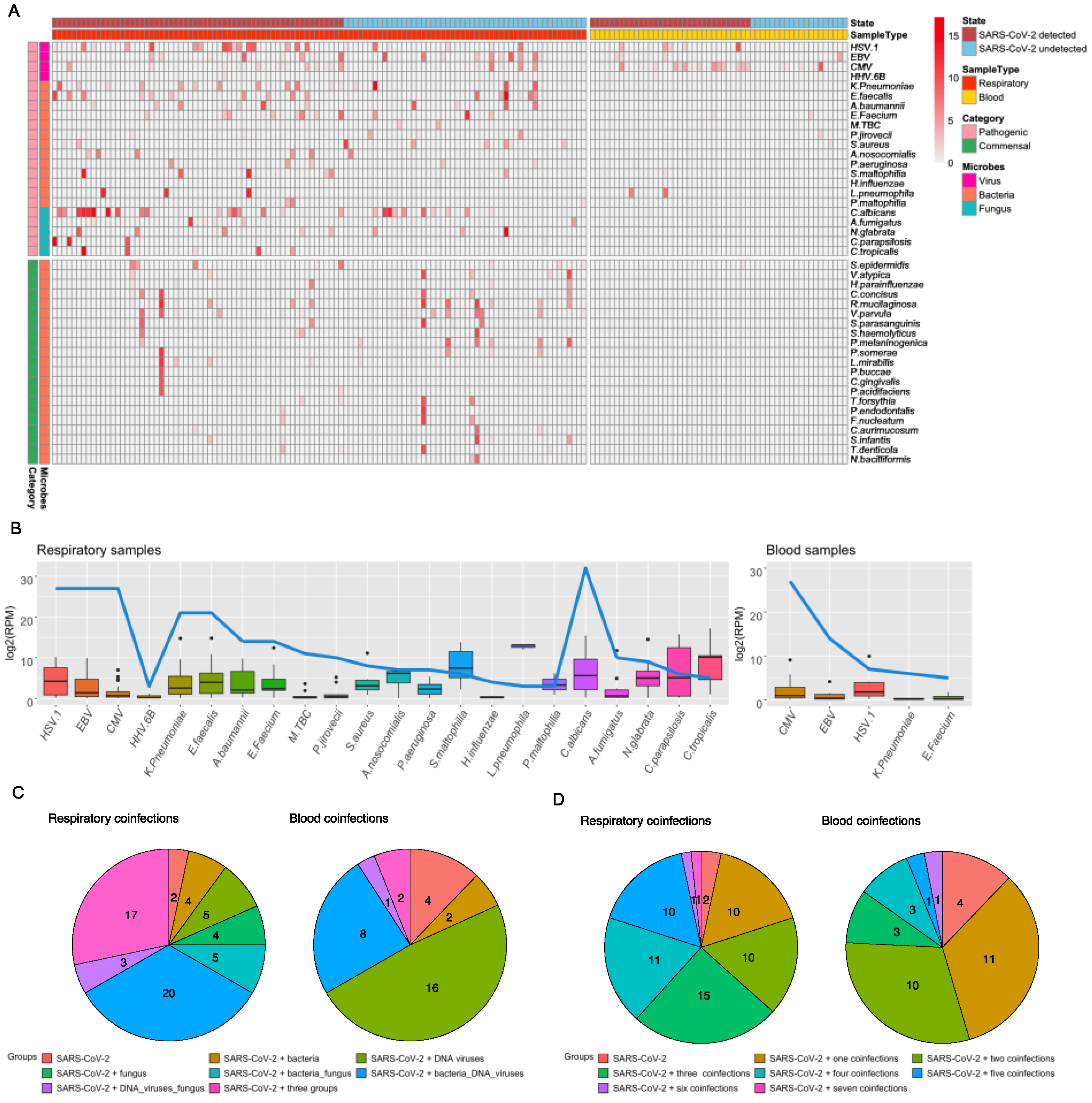 Pathogens 13 00216 g002