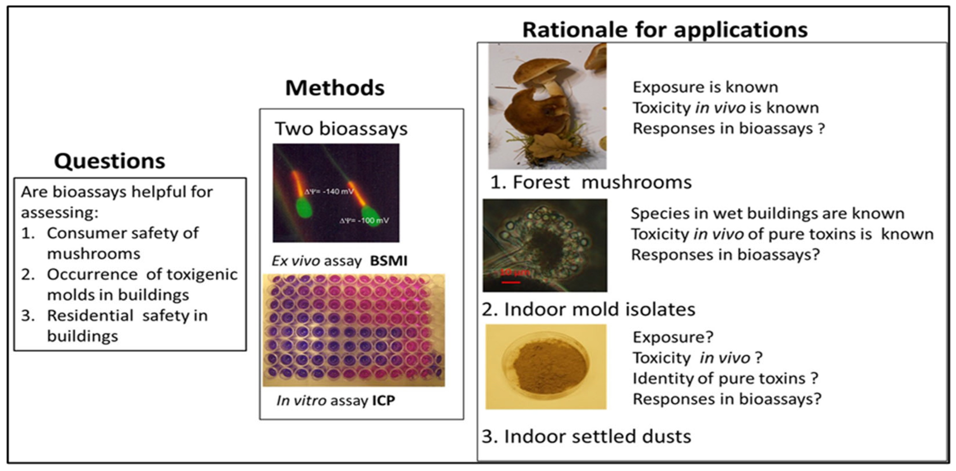 Pathogens 13 00217 g001