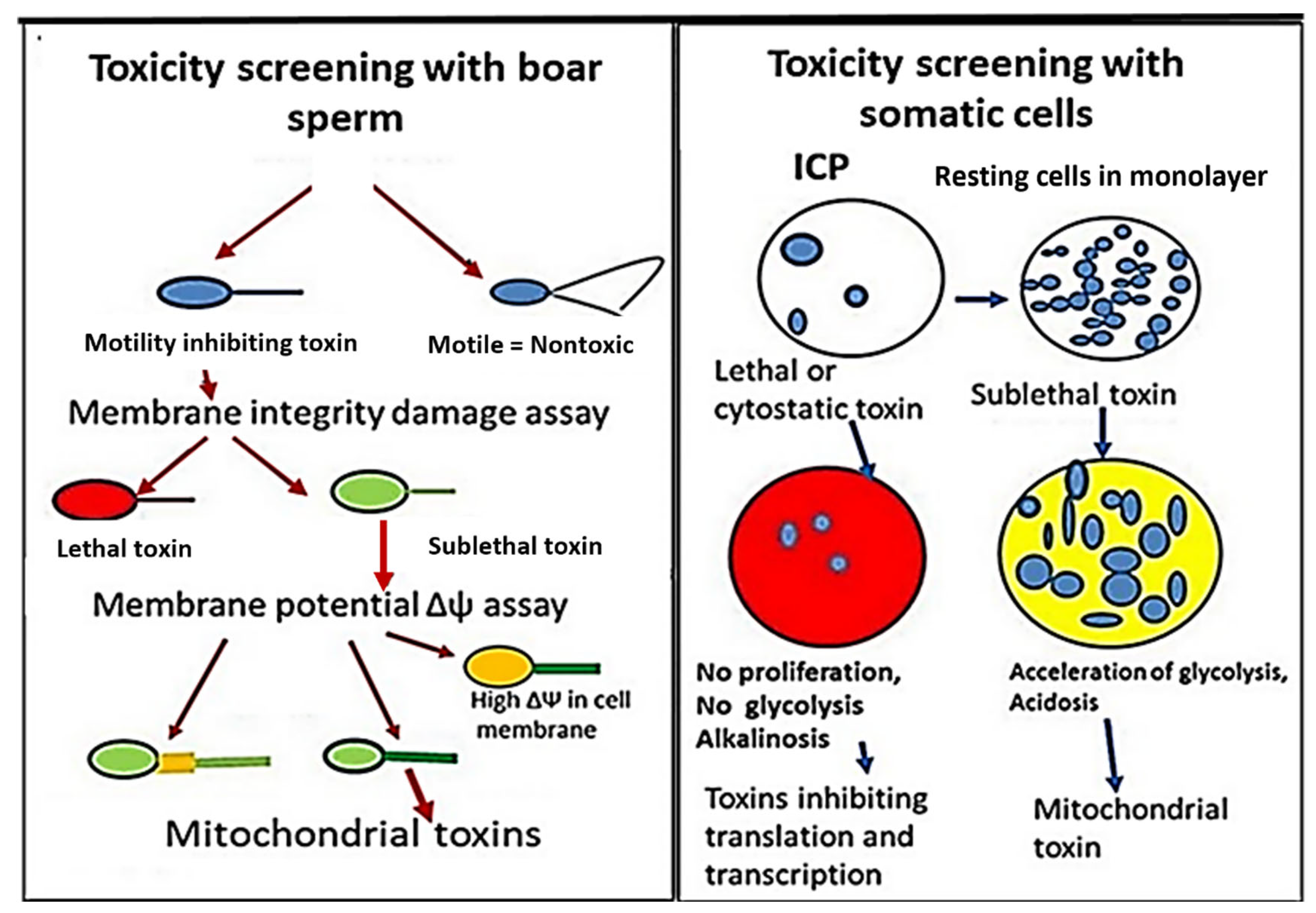 Pathogens 13 00217 g002