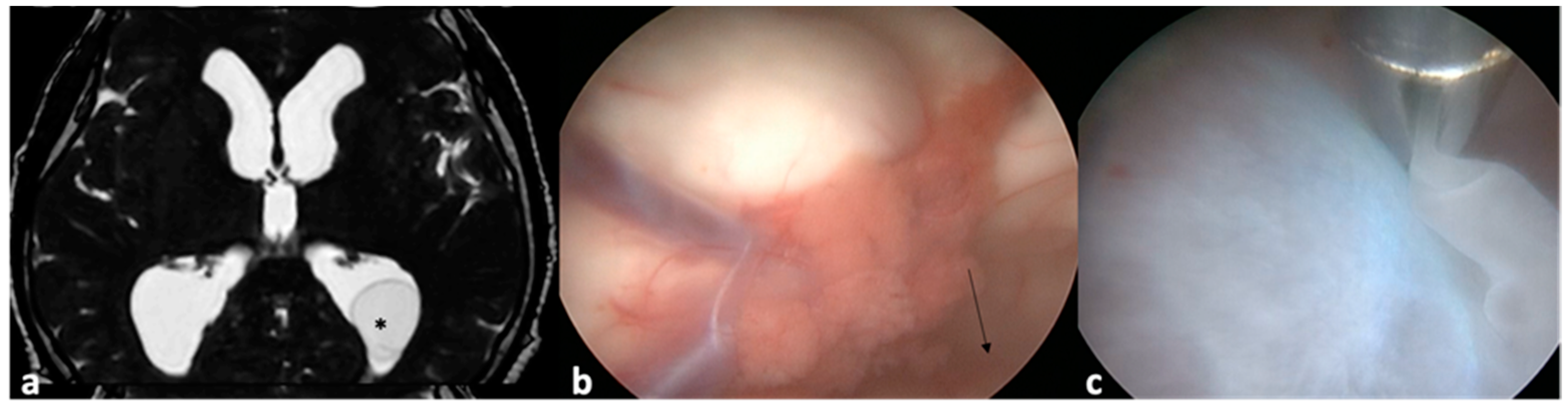 Pathogens 13 00218 g003