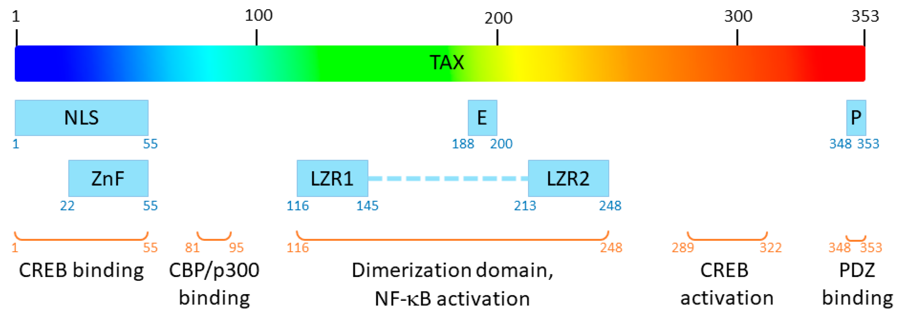 Pathogens 13 00241 g001