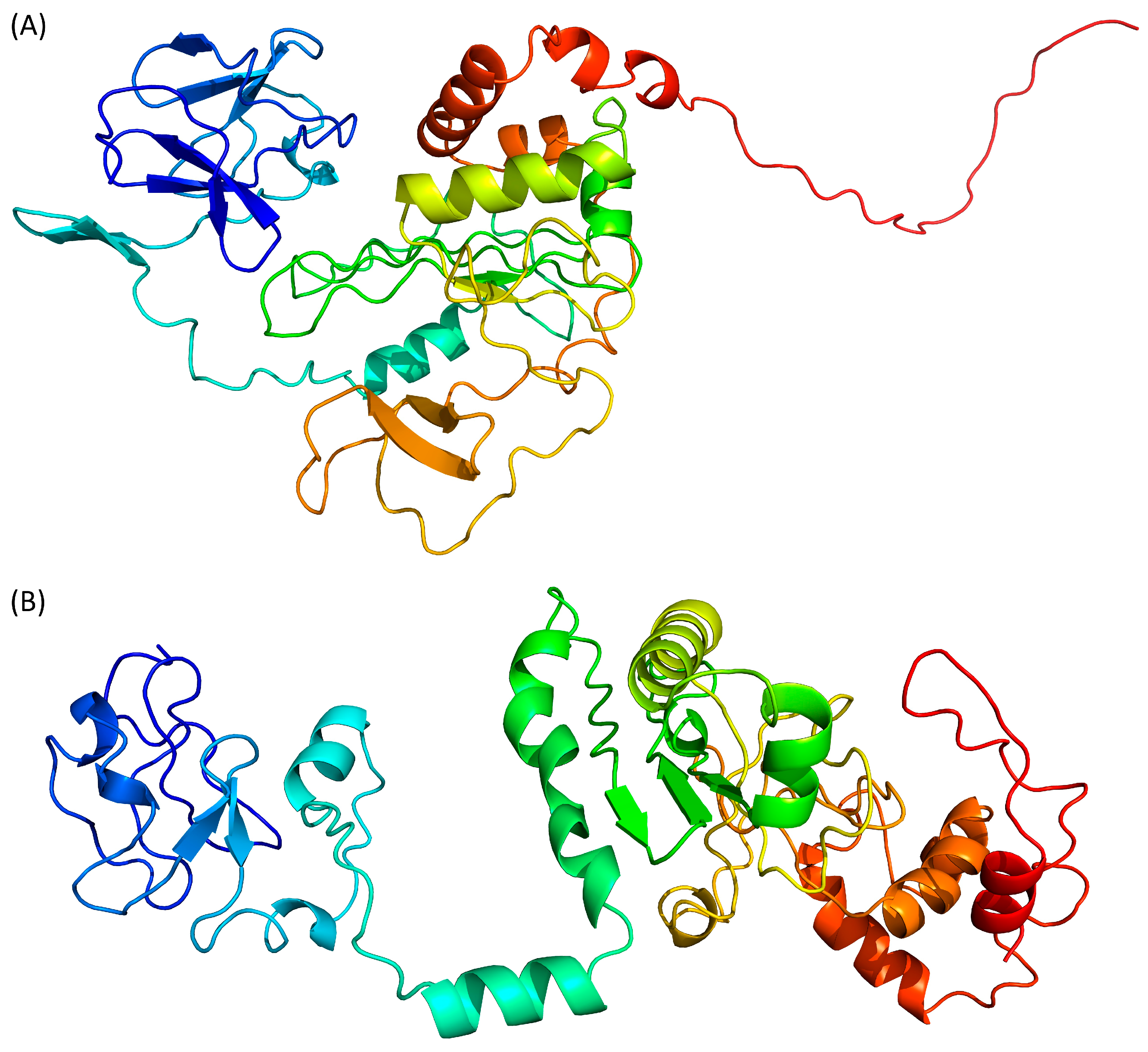 Pathogens 13 00241 g003a