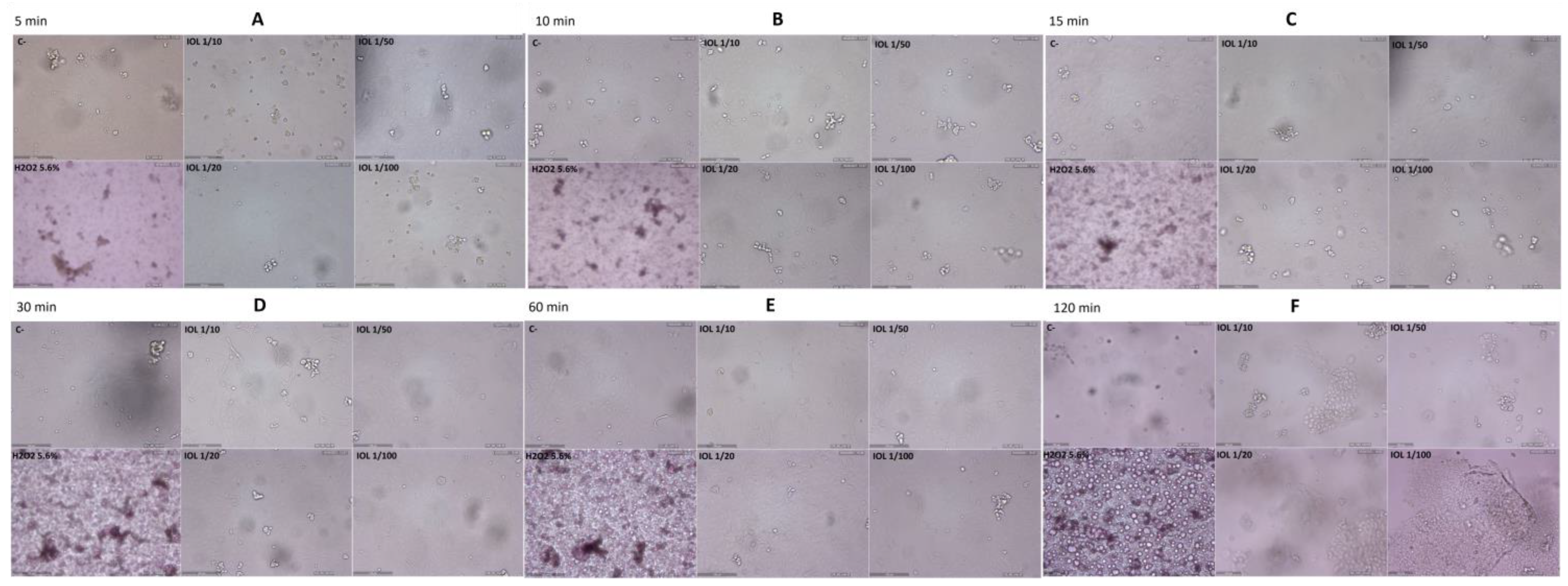 Pathogens 13 00244 g002