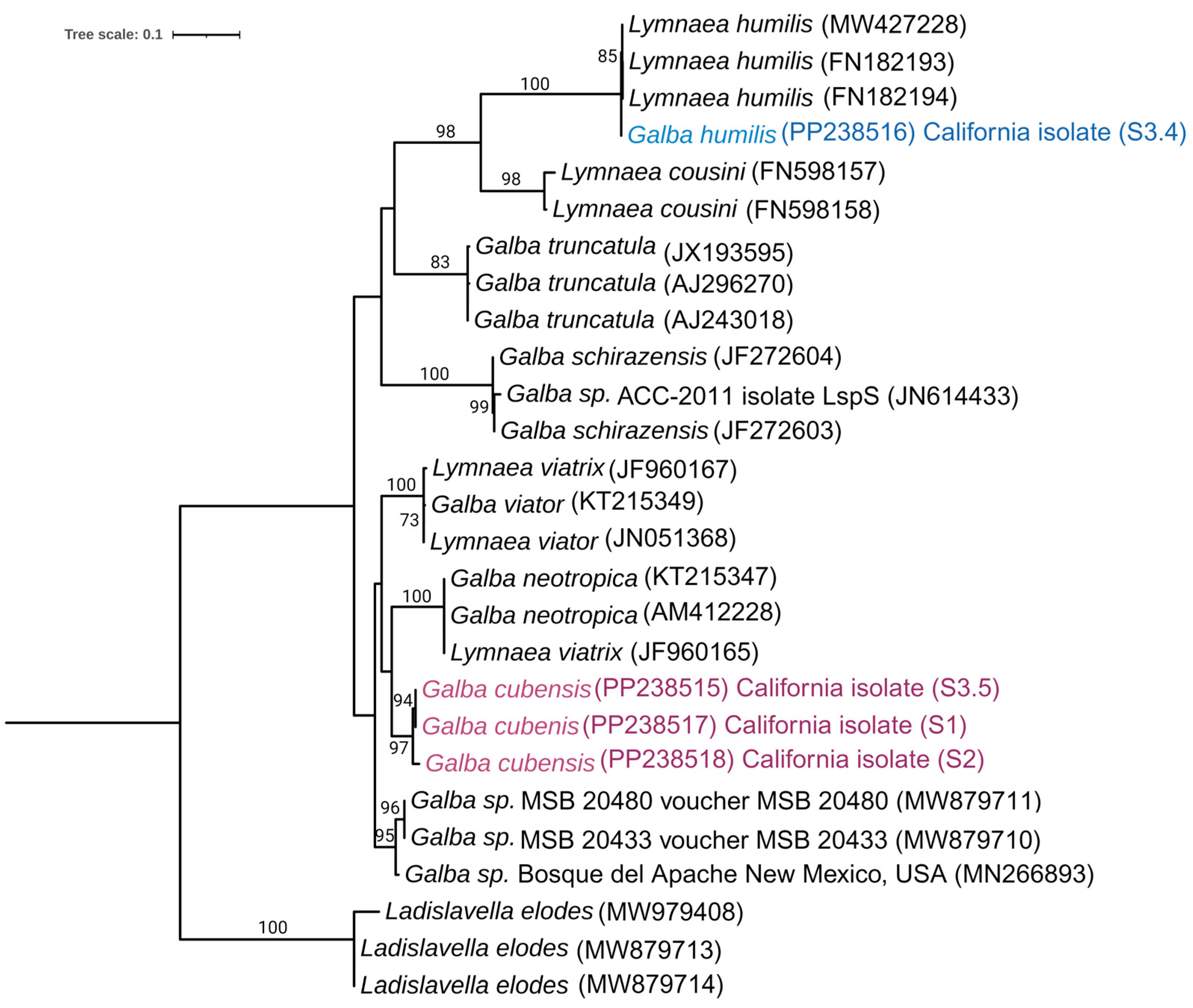 Pathogens 13 00245 g005 Pathogens 13 00245 g005