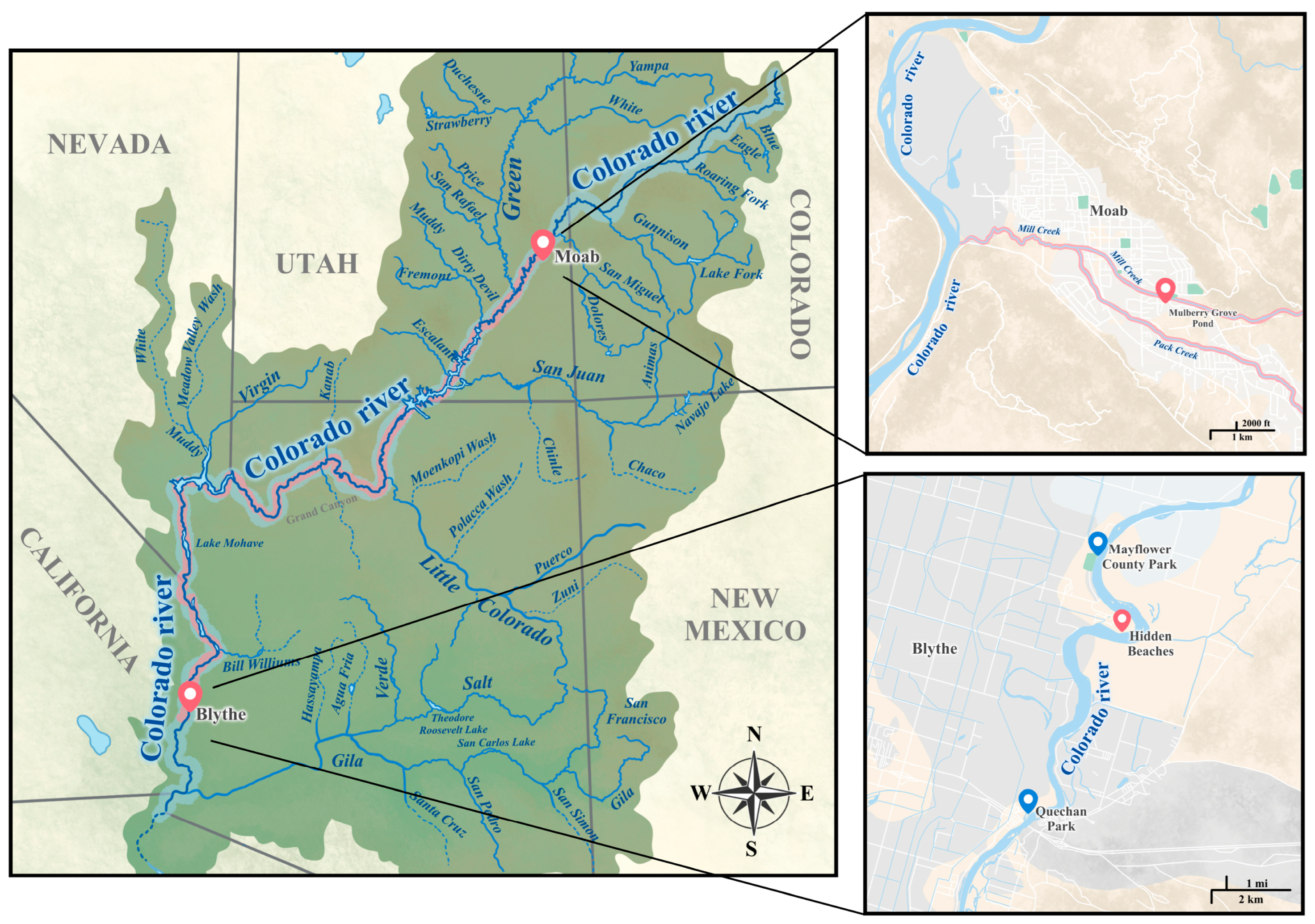 Pathogens 13 00245 g008 Pathogens 13 00245 g008