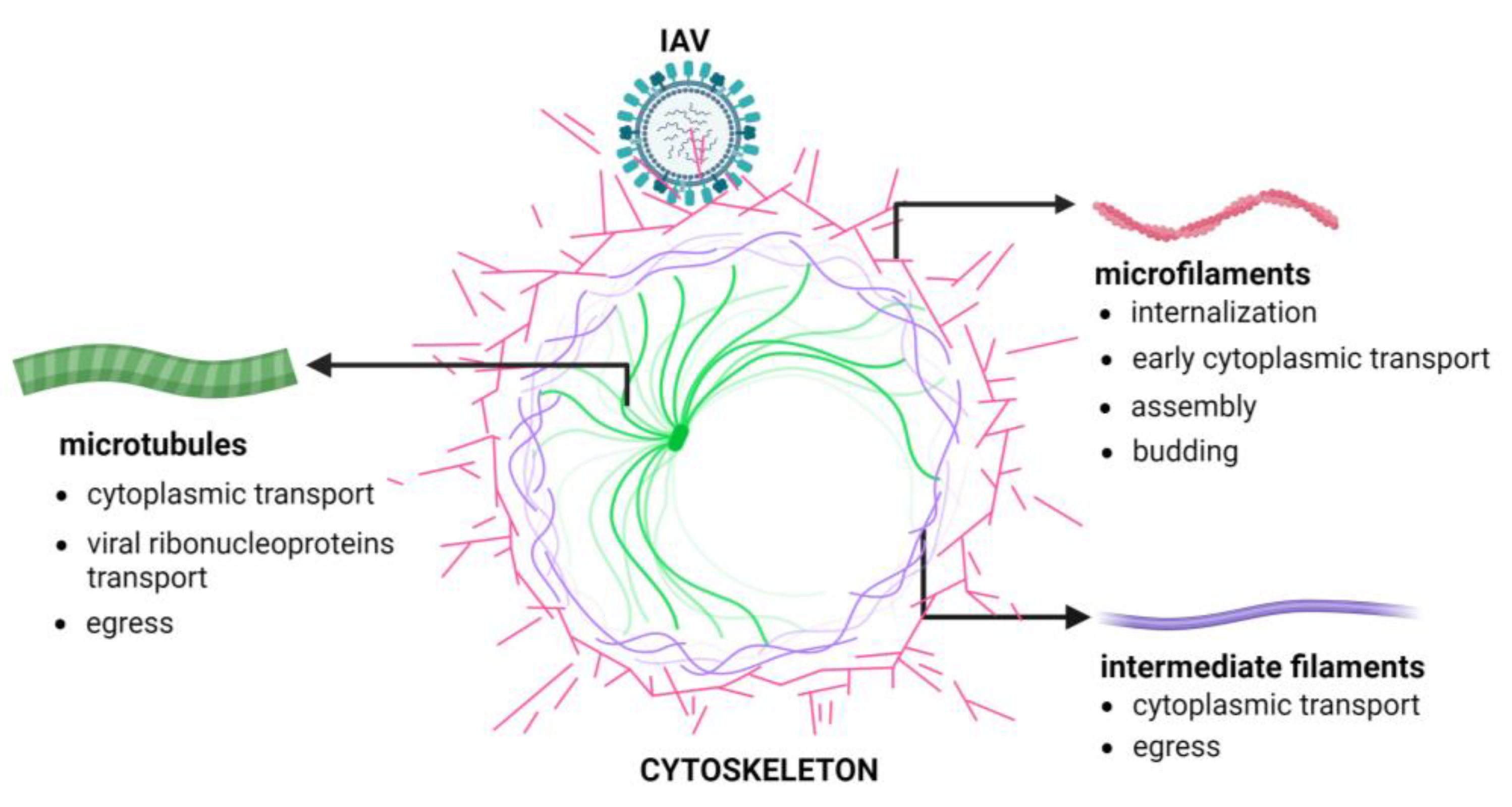 Pathogens 13 00249 g001 Pathogens 13 00249 g001