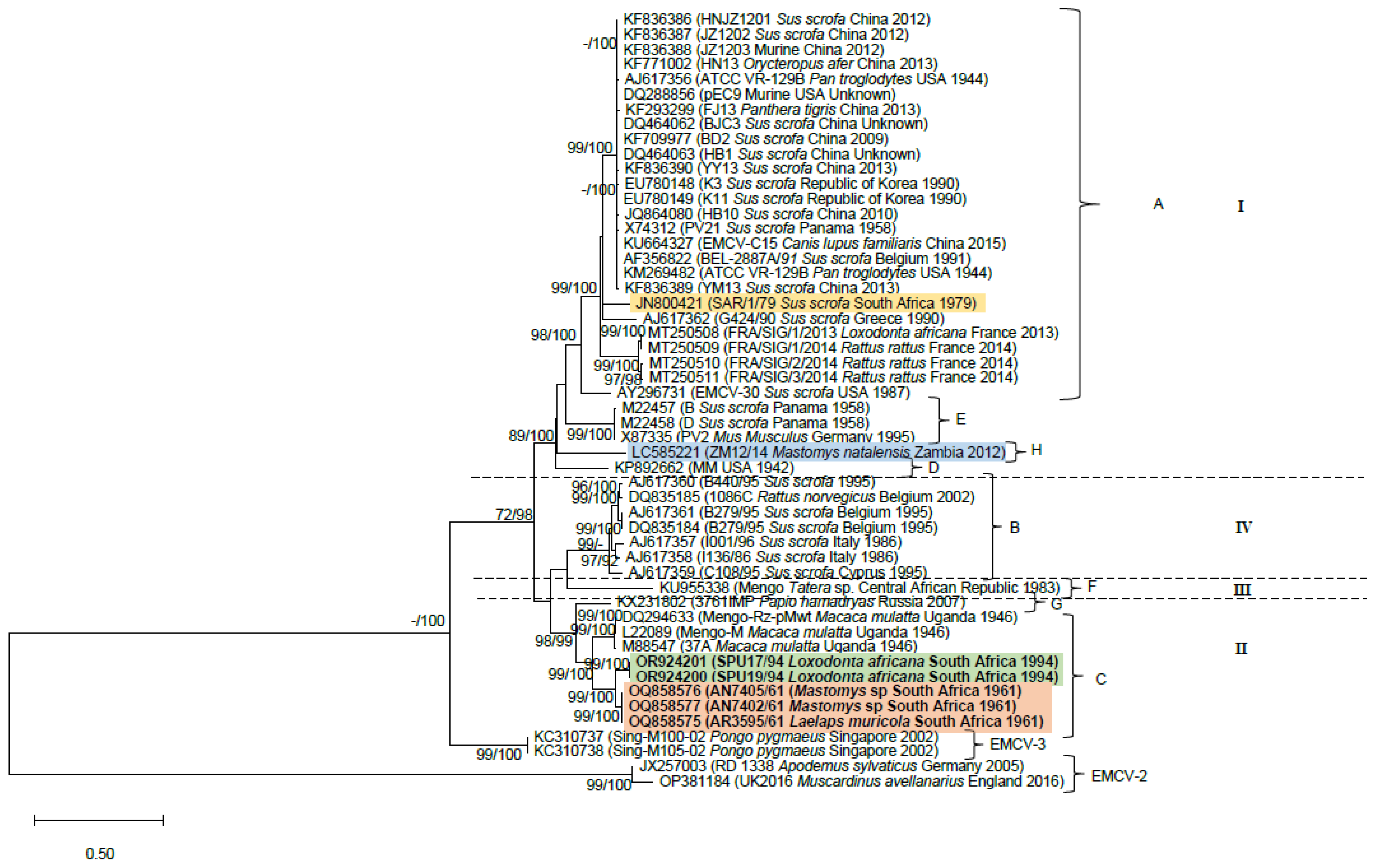 Pathogens 13 00261 g002 Pathogens 13 00261 g002
