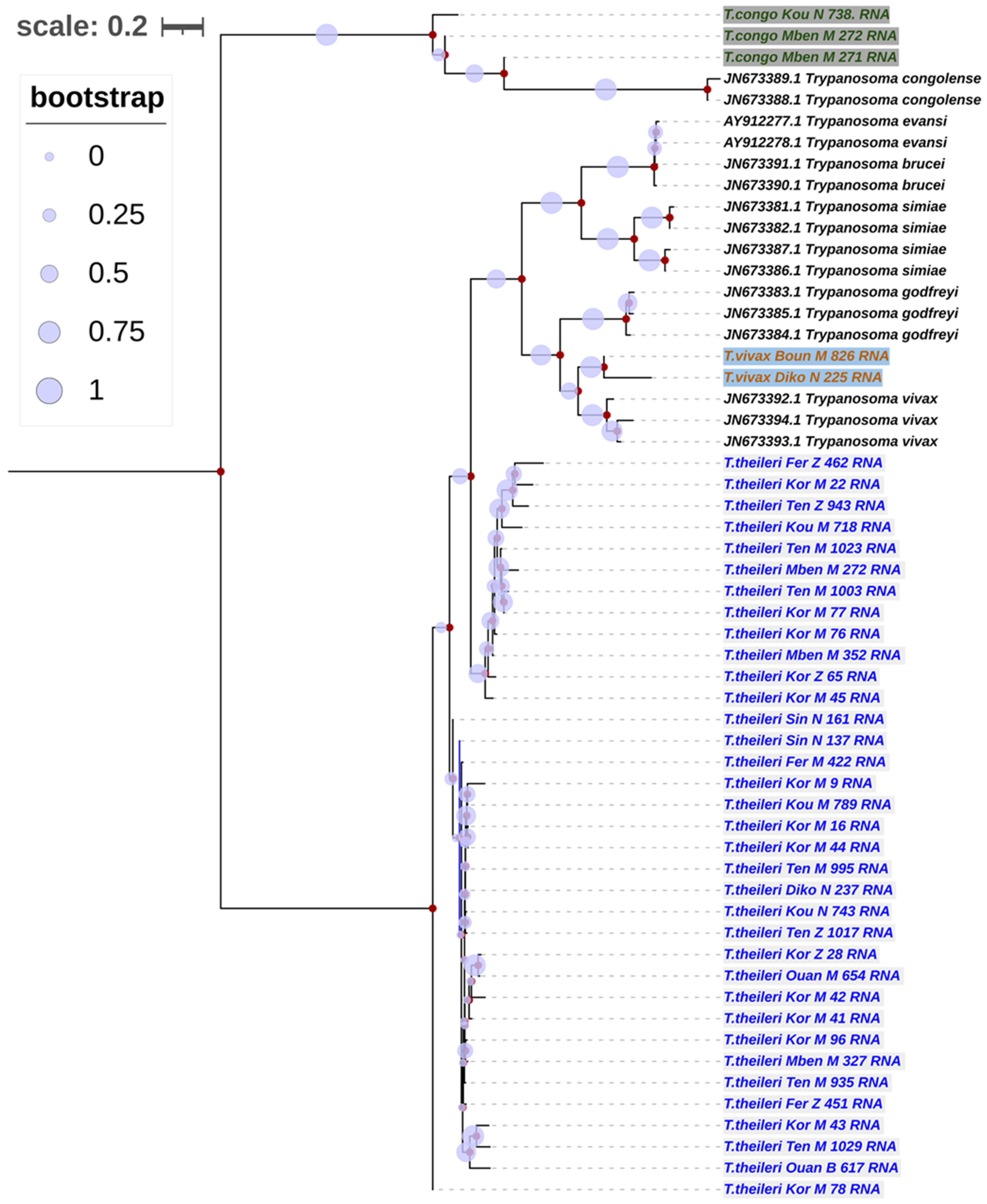 Pathogens 13 00262 g002