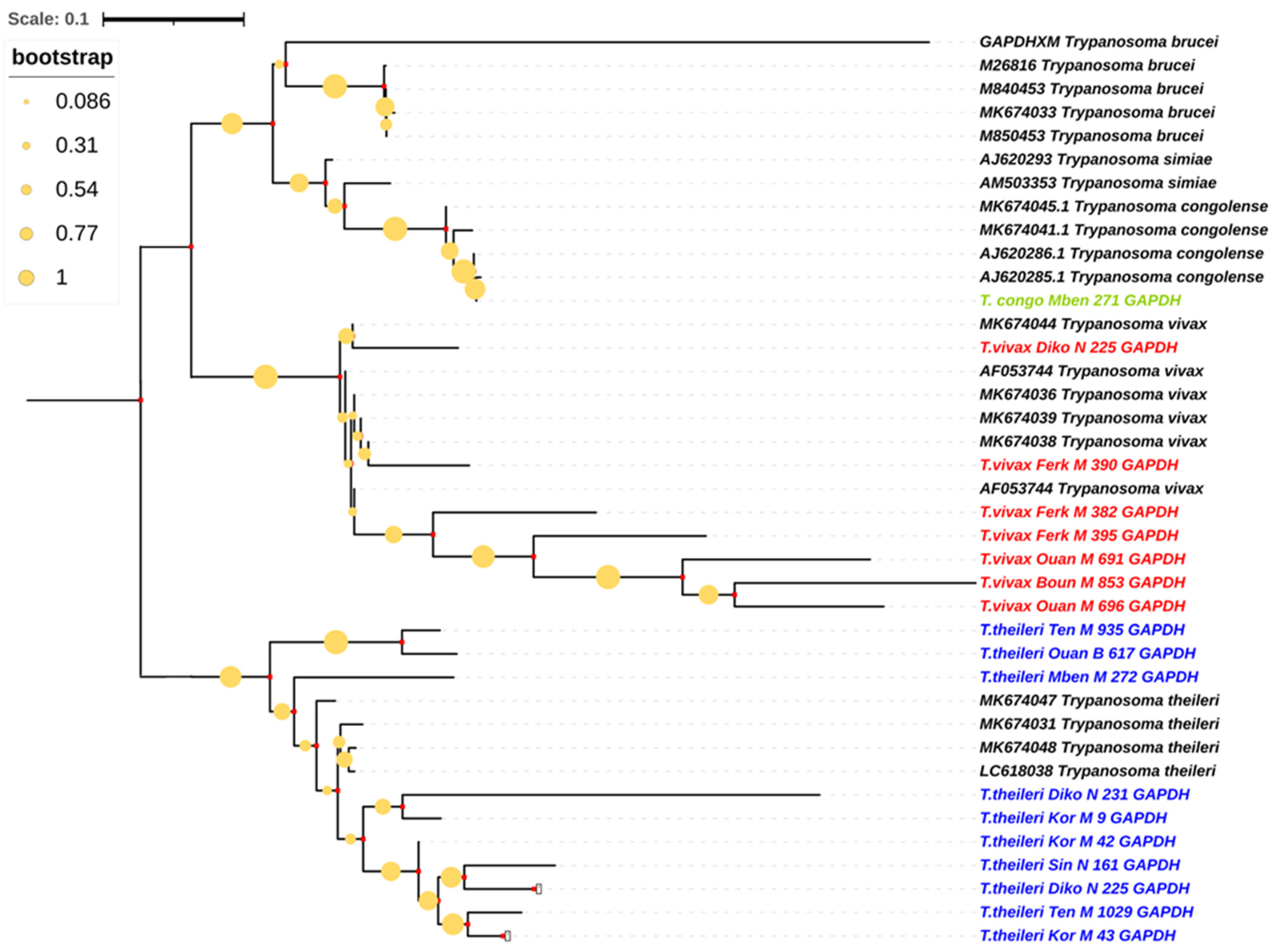 Pathogens 13 00262 g003
