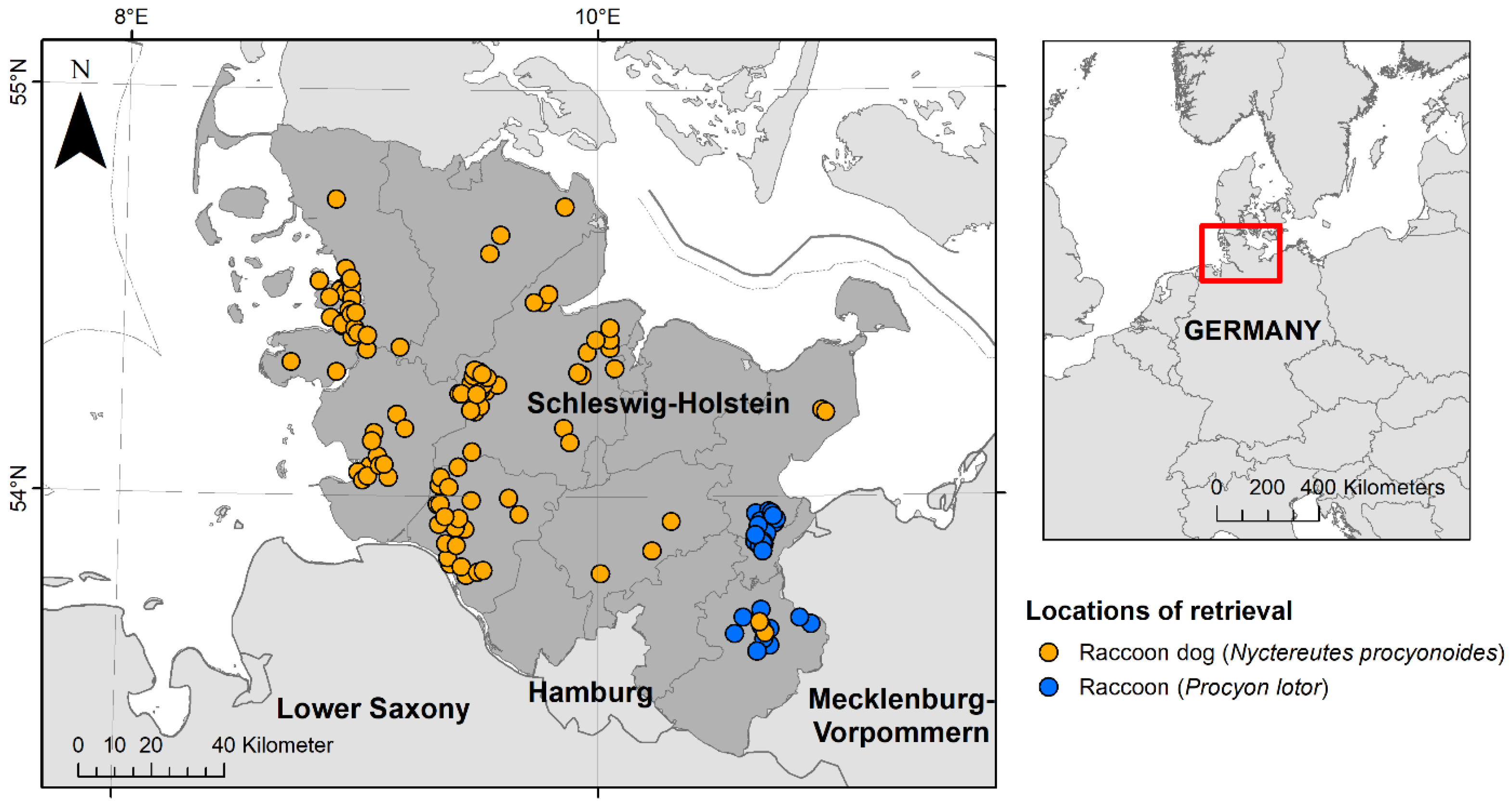 Pathogens 13 00270 g001 Pathogens 13 00270 g001