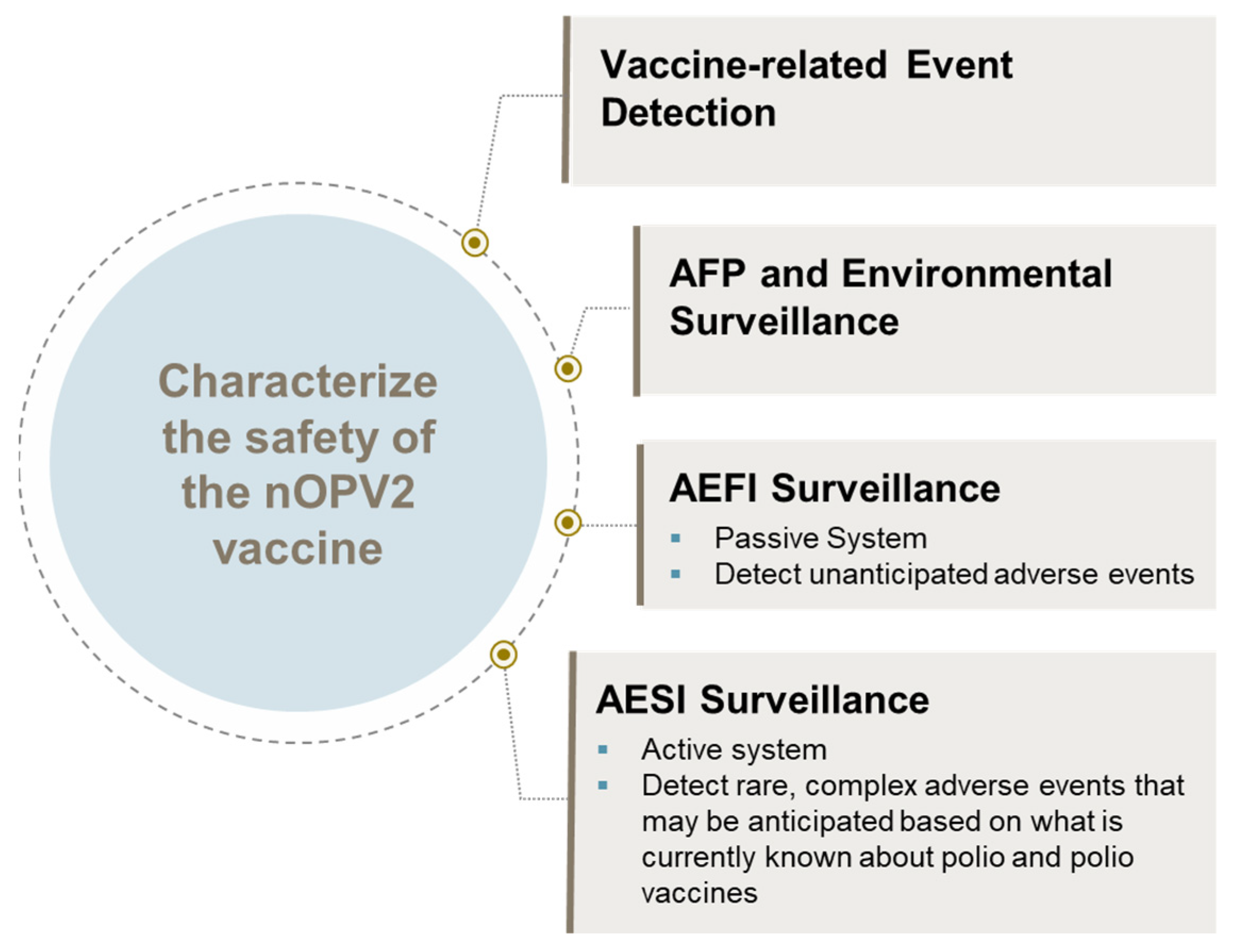 Pathogens 13 00273 g004