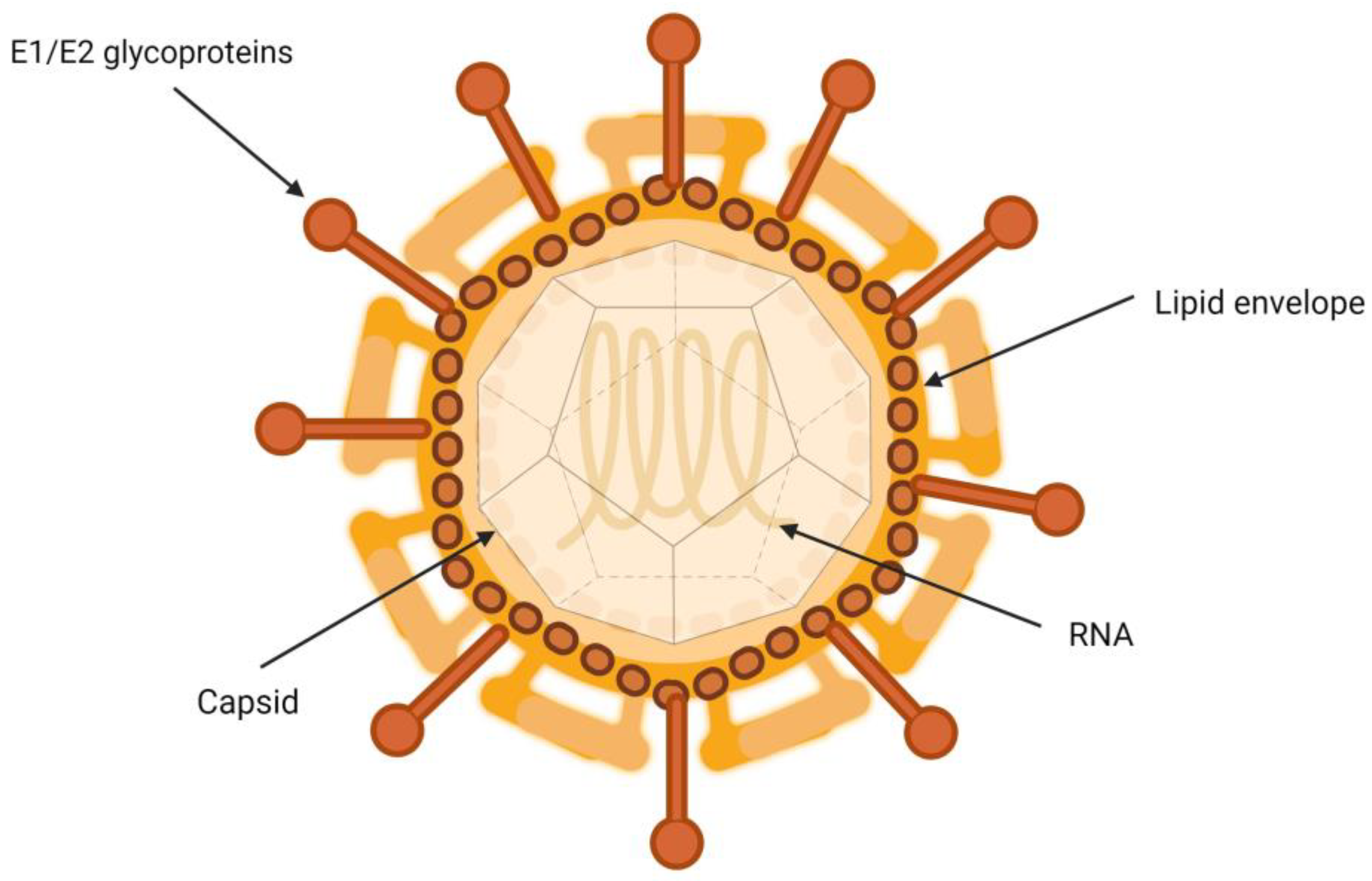 Pathogens 13 00278 g001 Pathogens 13 00278 g001