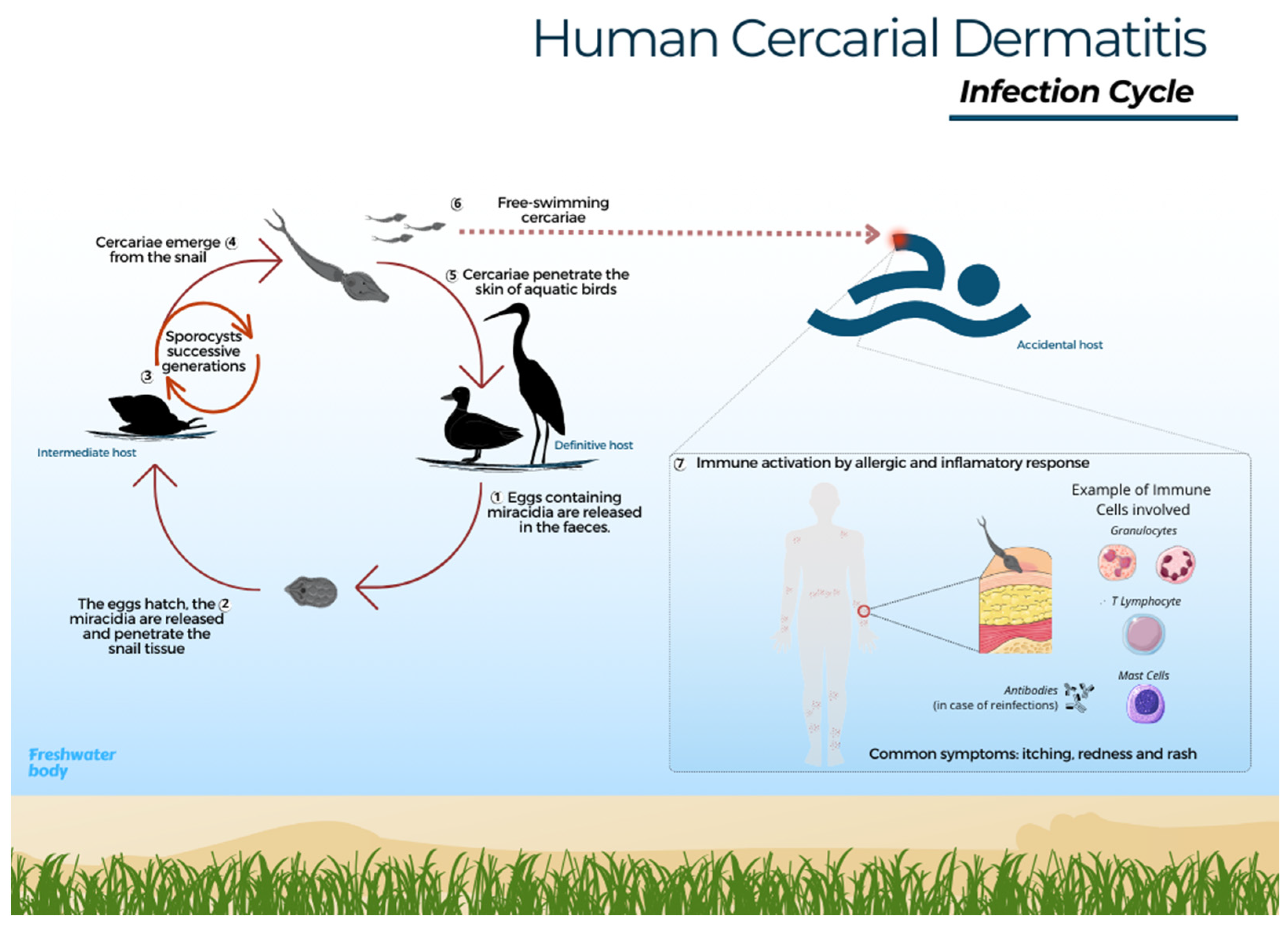 Pathogens 13 00282 g001
