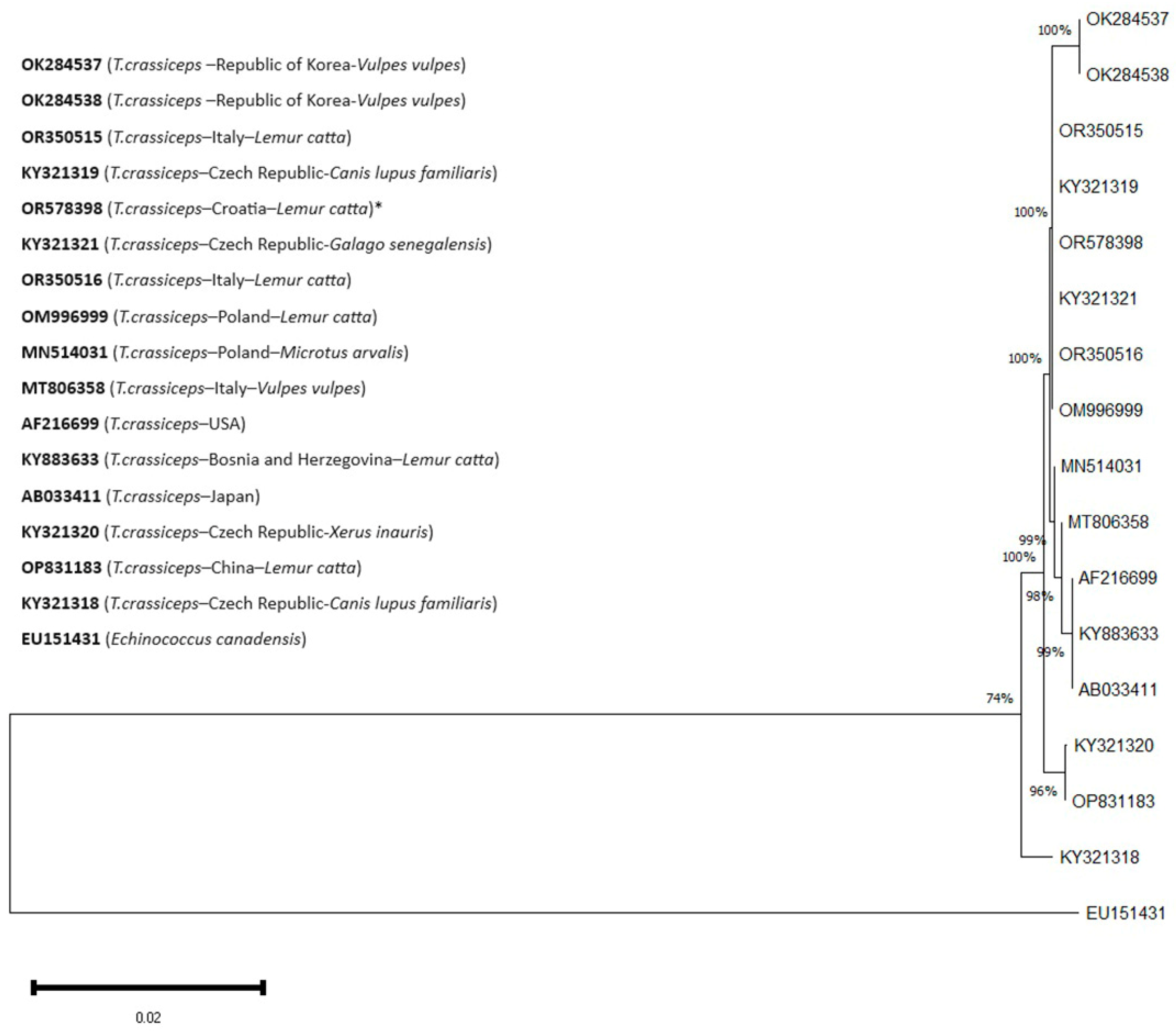 Pathogens 13 00283 g005 Pathogens 13 00283 g005