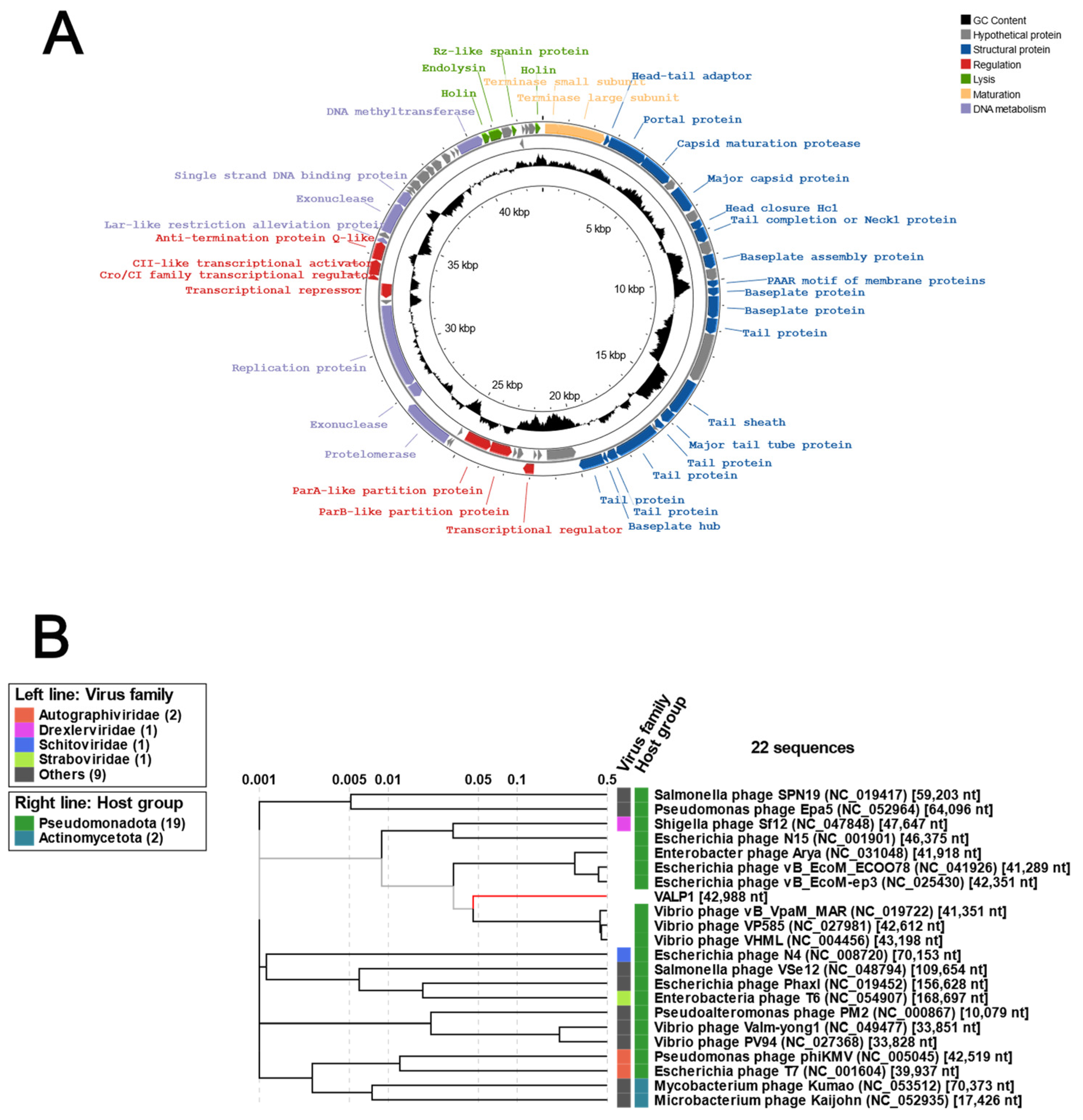 Pathogens 13 00285 g002