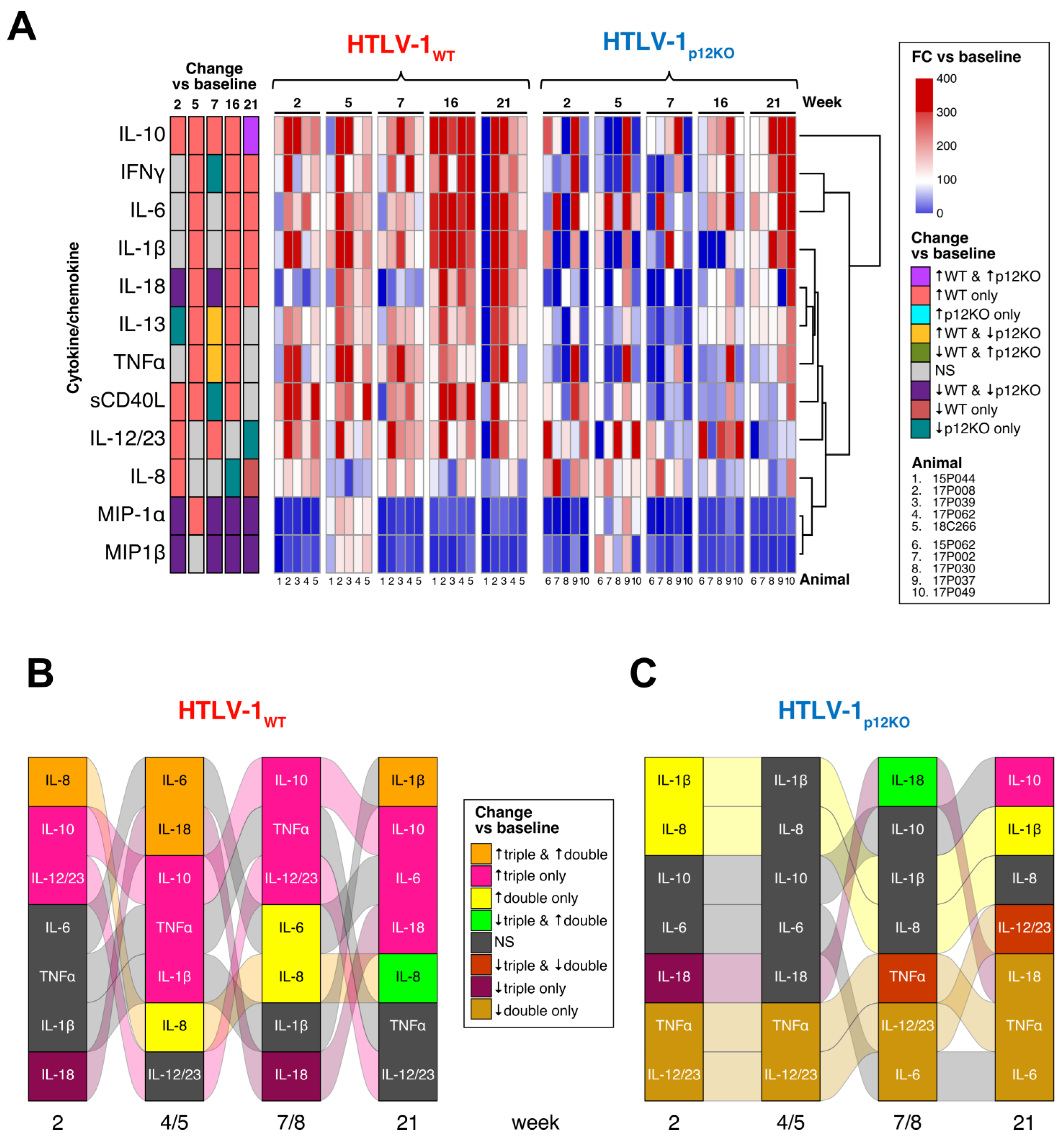 Pathogens 13 00292 g004