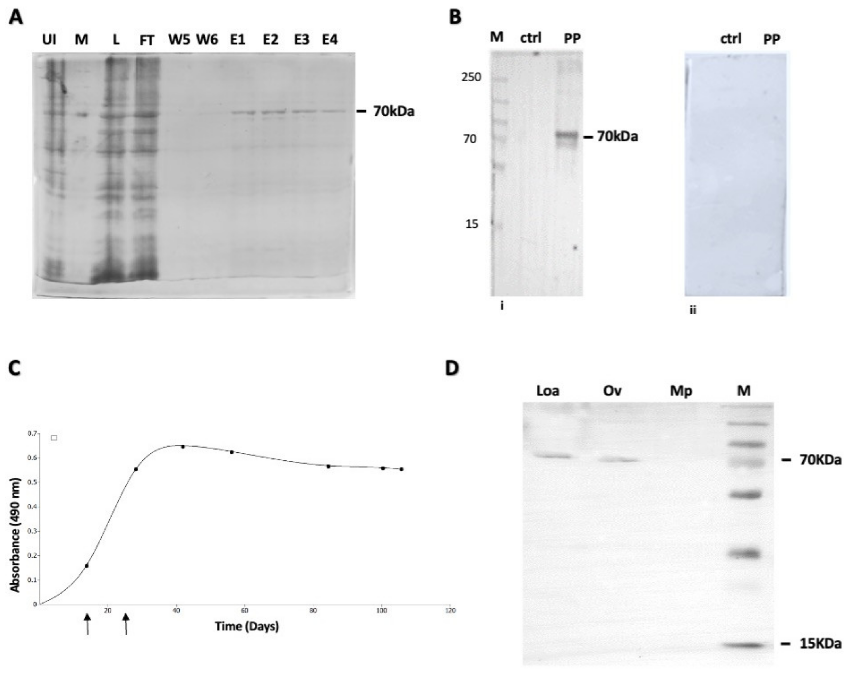 Pathogens 13 00293 g002