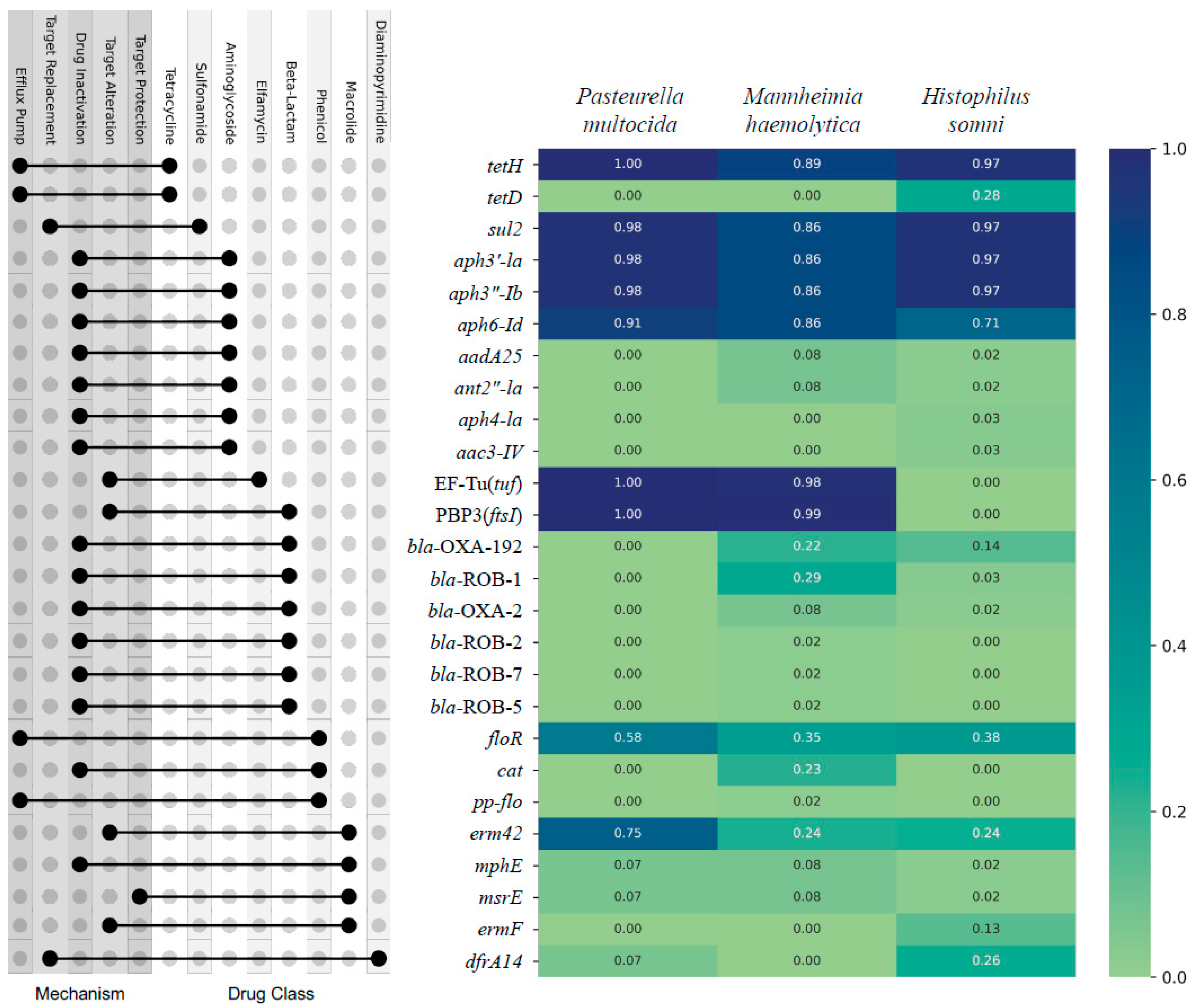 Pathogens 13 00300 g001