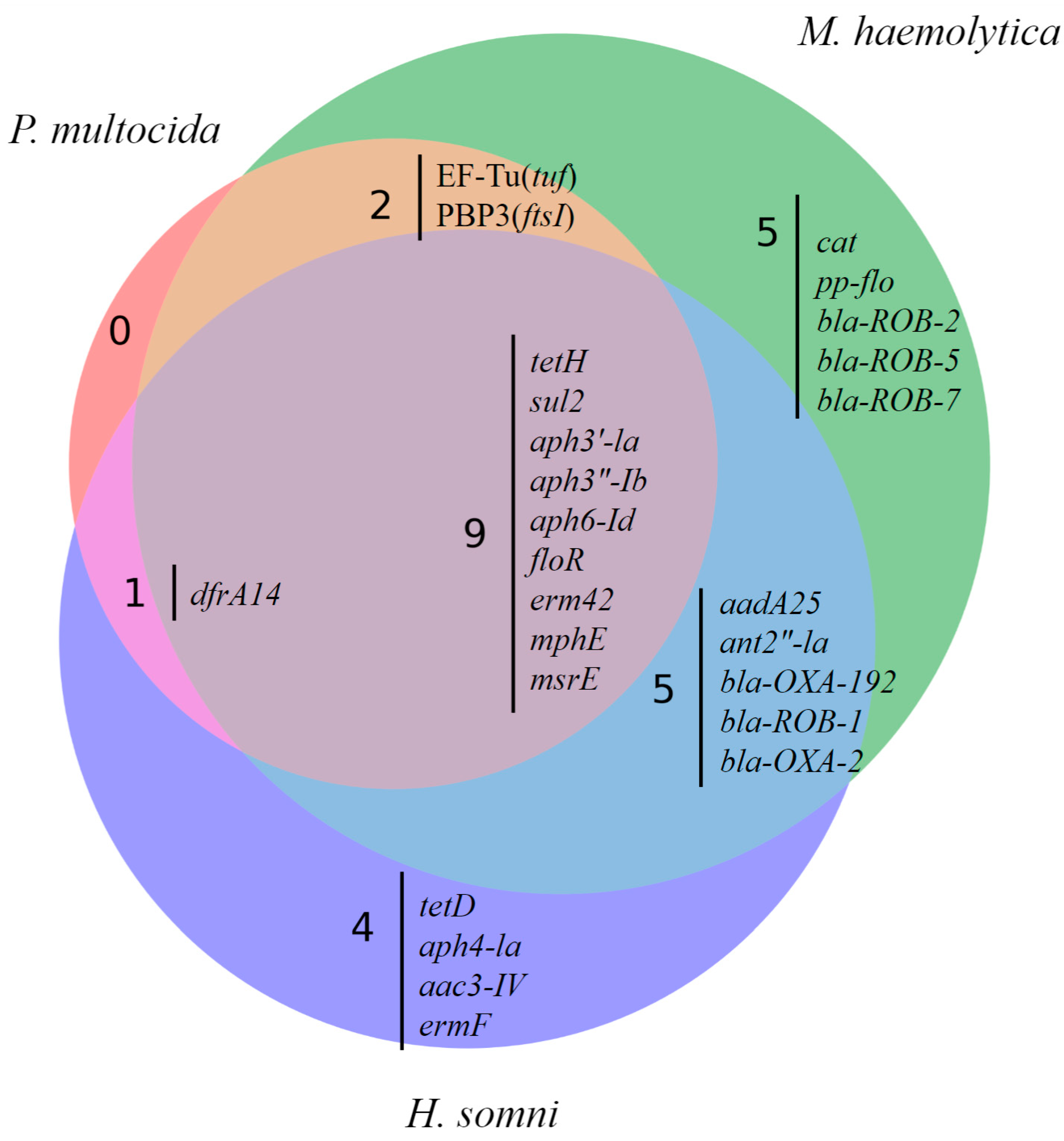 Pathogens 13 00300 g003