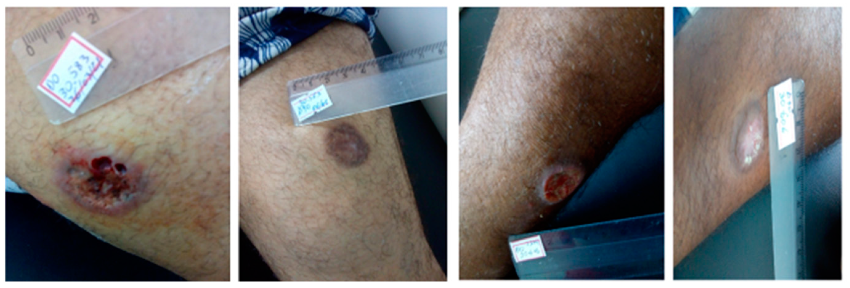 Pathogens 13 00301 g001 Pathogens 13 00301 g001