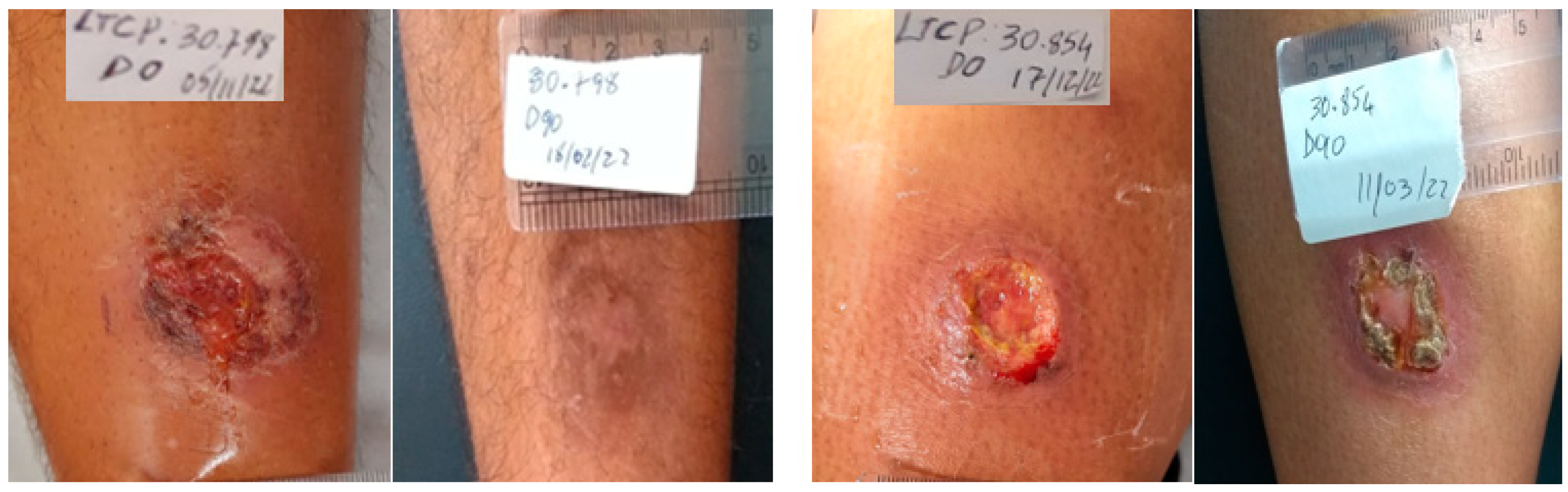 Pathogens 13 00301 g002 Pathogens 13 00301 g002