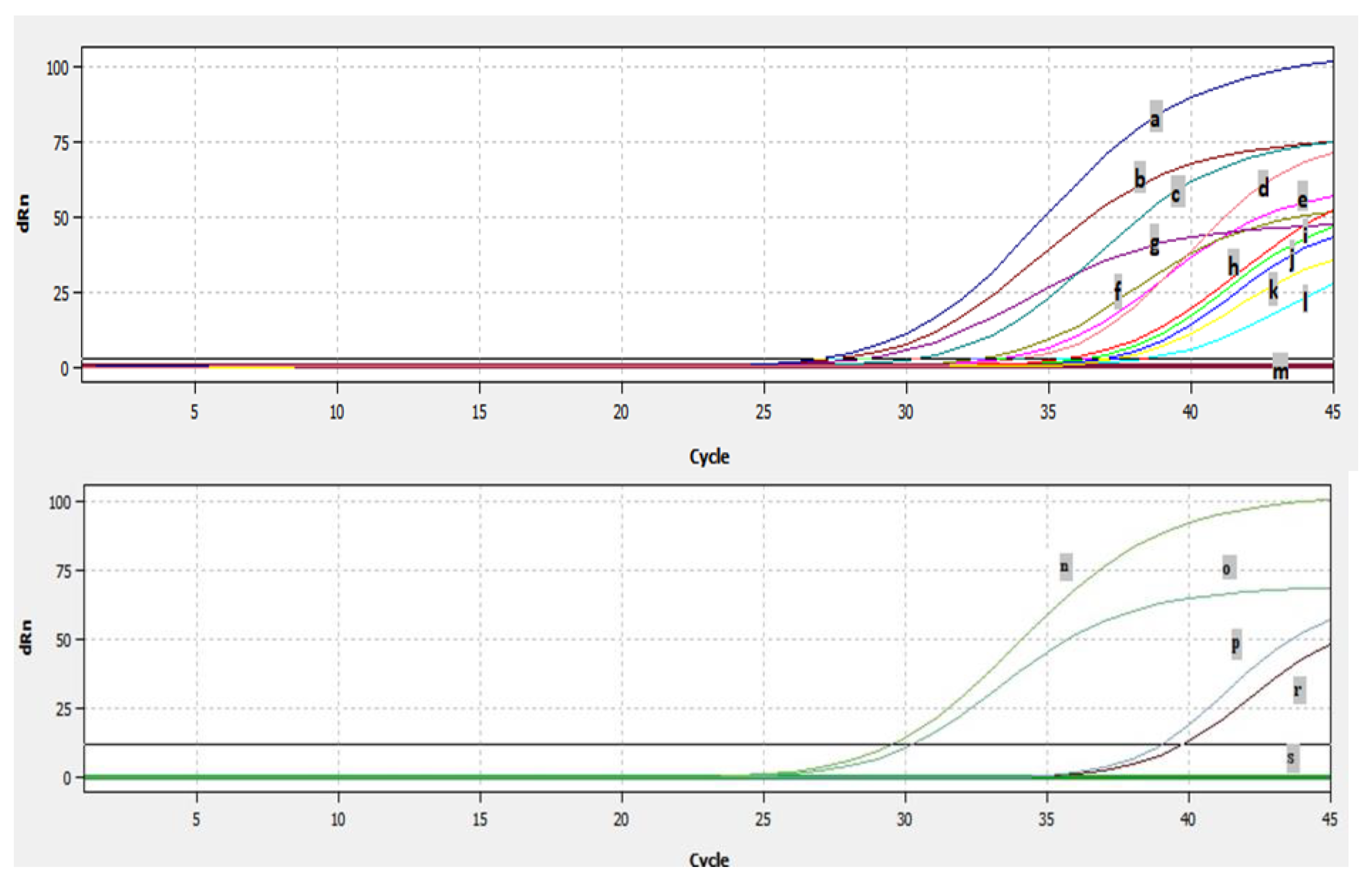 Pathogens 13 00304 g007 Pathogens 13 00304 g007