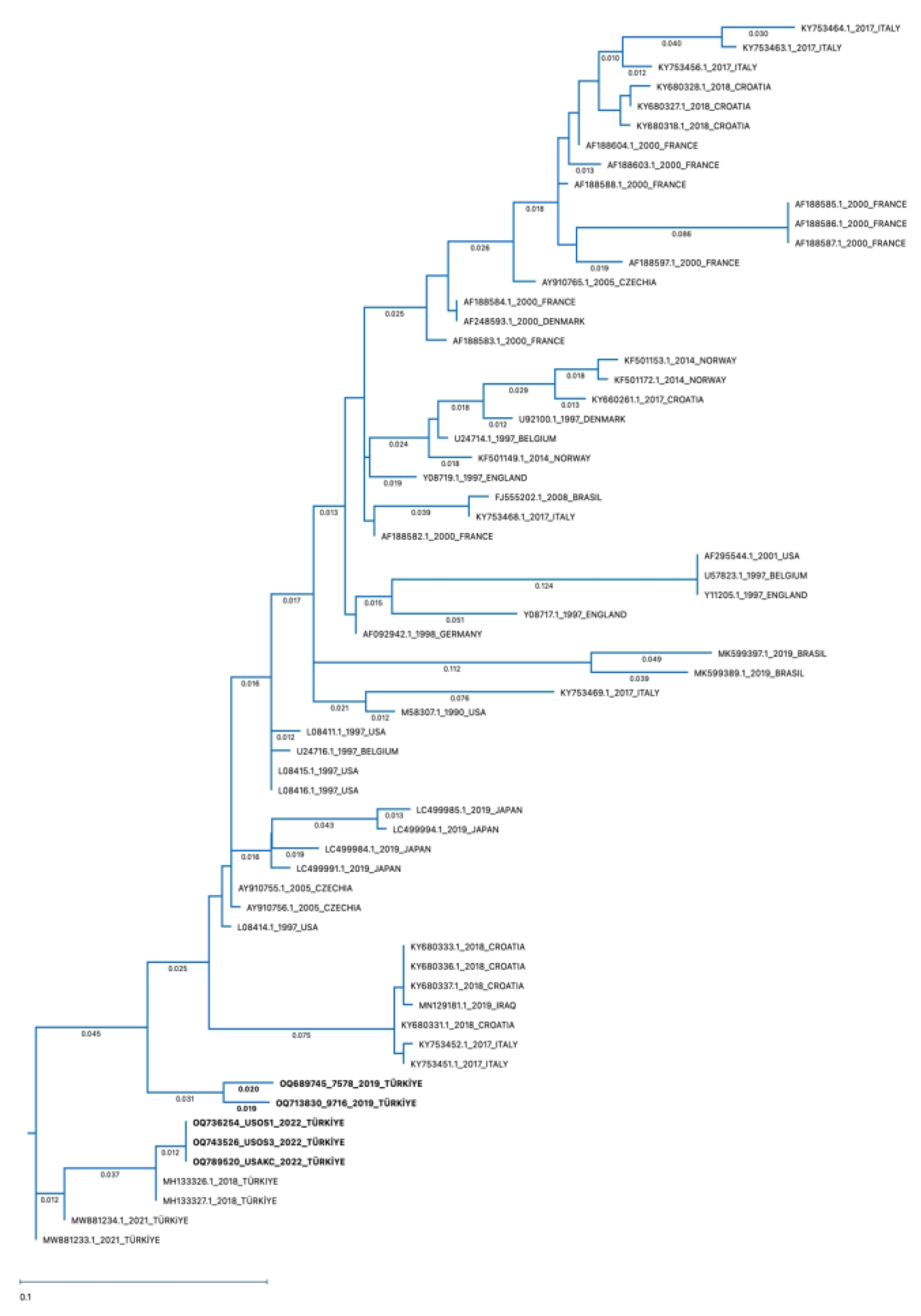 Pathogens 13 00304 g010 Pathogens 13 00304 g010
