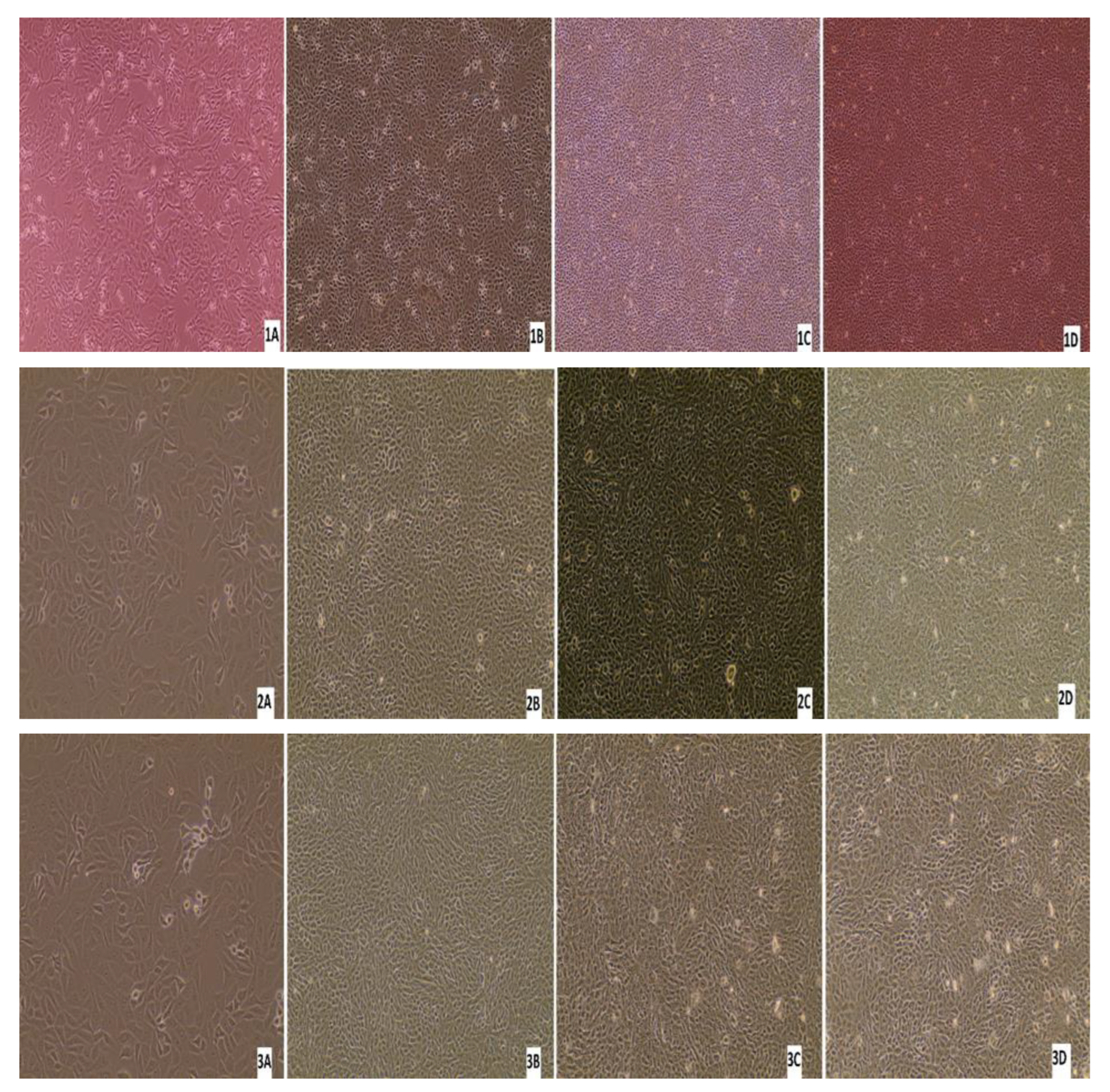 Pathogens 13 00304 g011a Pathogens 13 00304 g011a