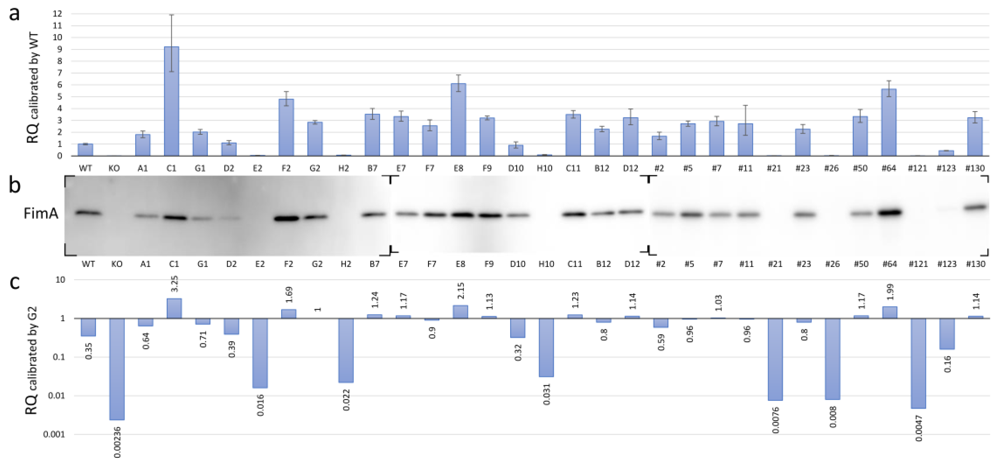 Pathogens 13 00309 g004