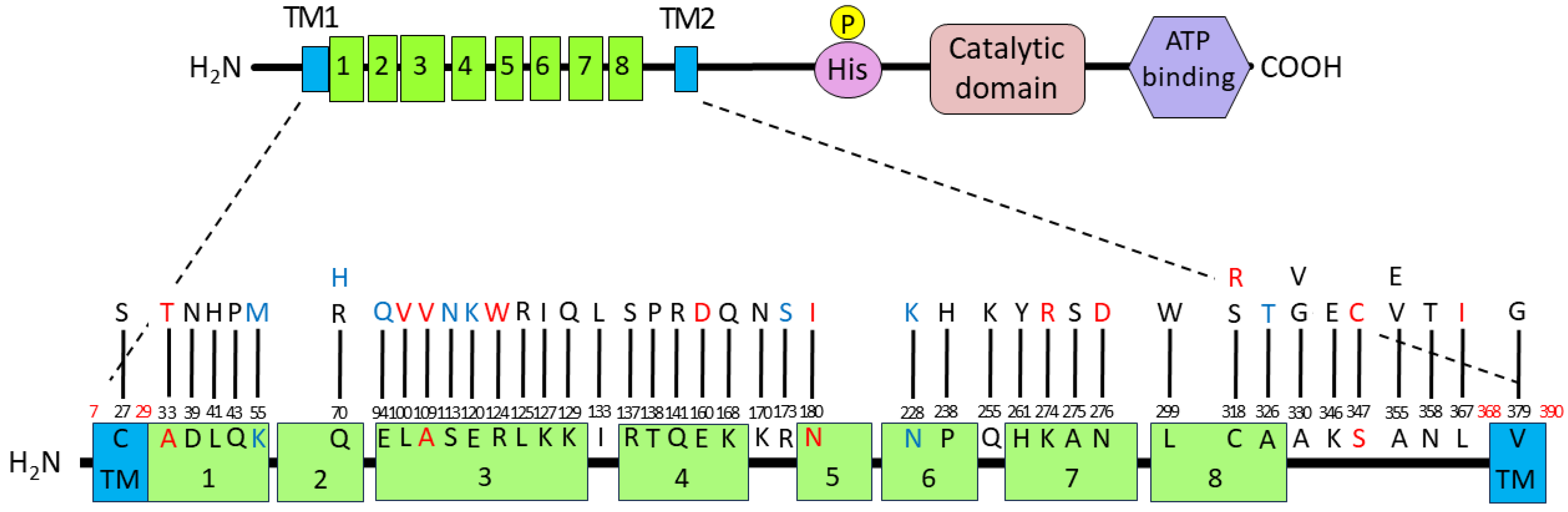 Pathogens 13 00309 g005