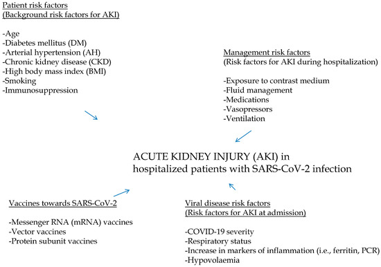 ぷろ Are Kidneys Affected by SARS-CoV-2 Infection? An Updated