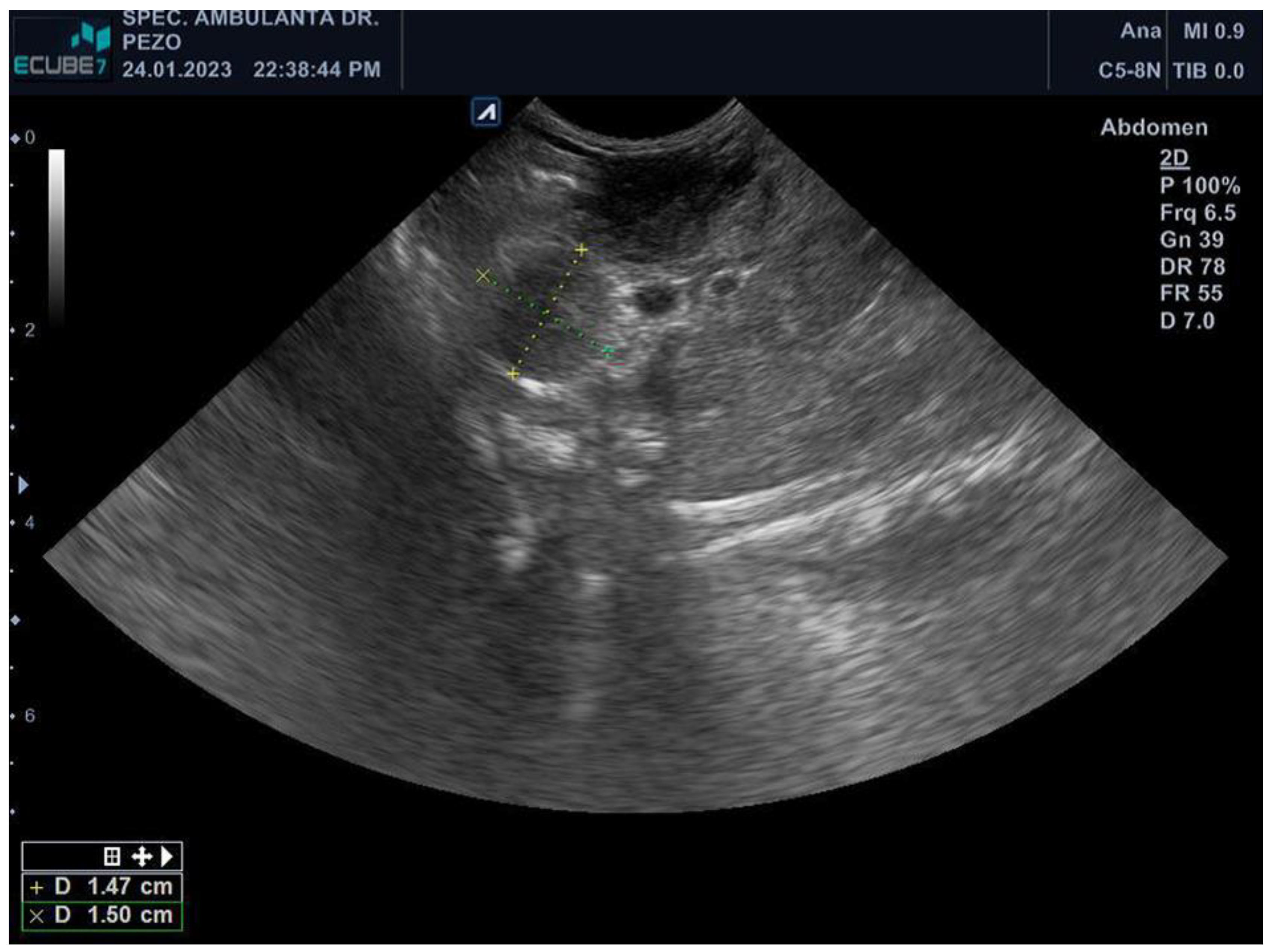 Pathogens 13 00328 g001