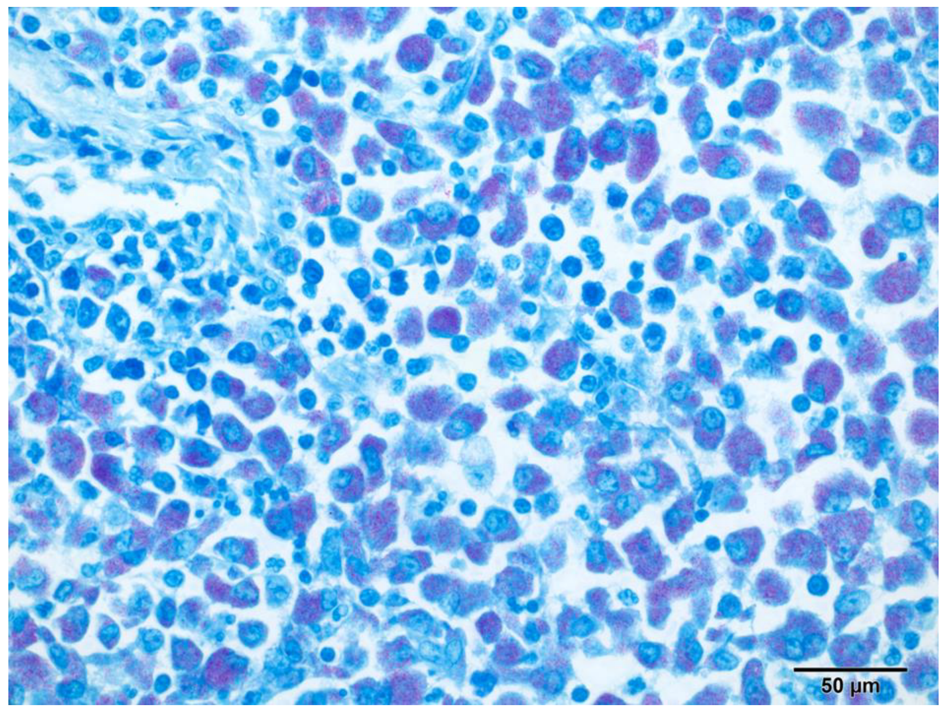 Pathogens 13 00328 g005