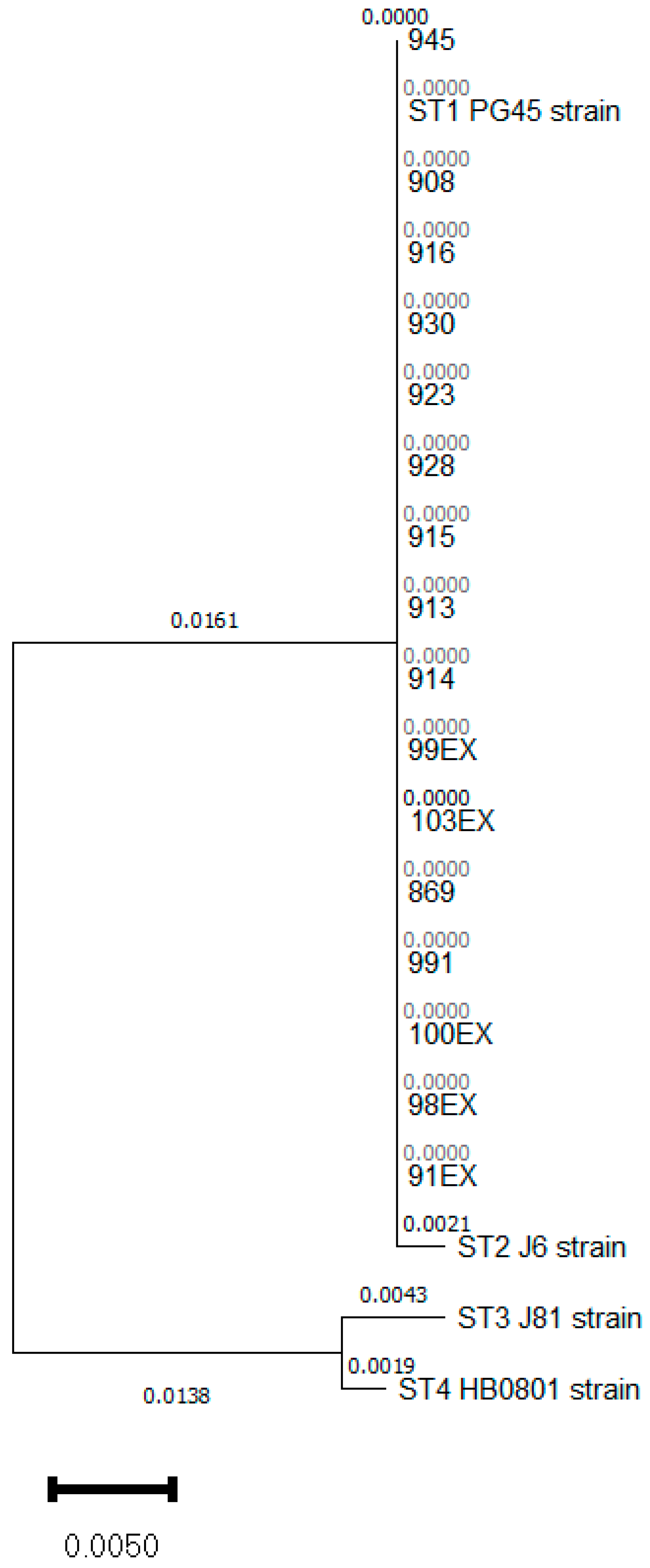 Pathogens 13 00329 g001