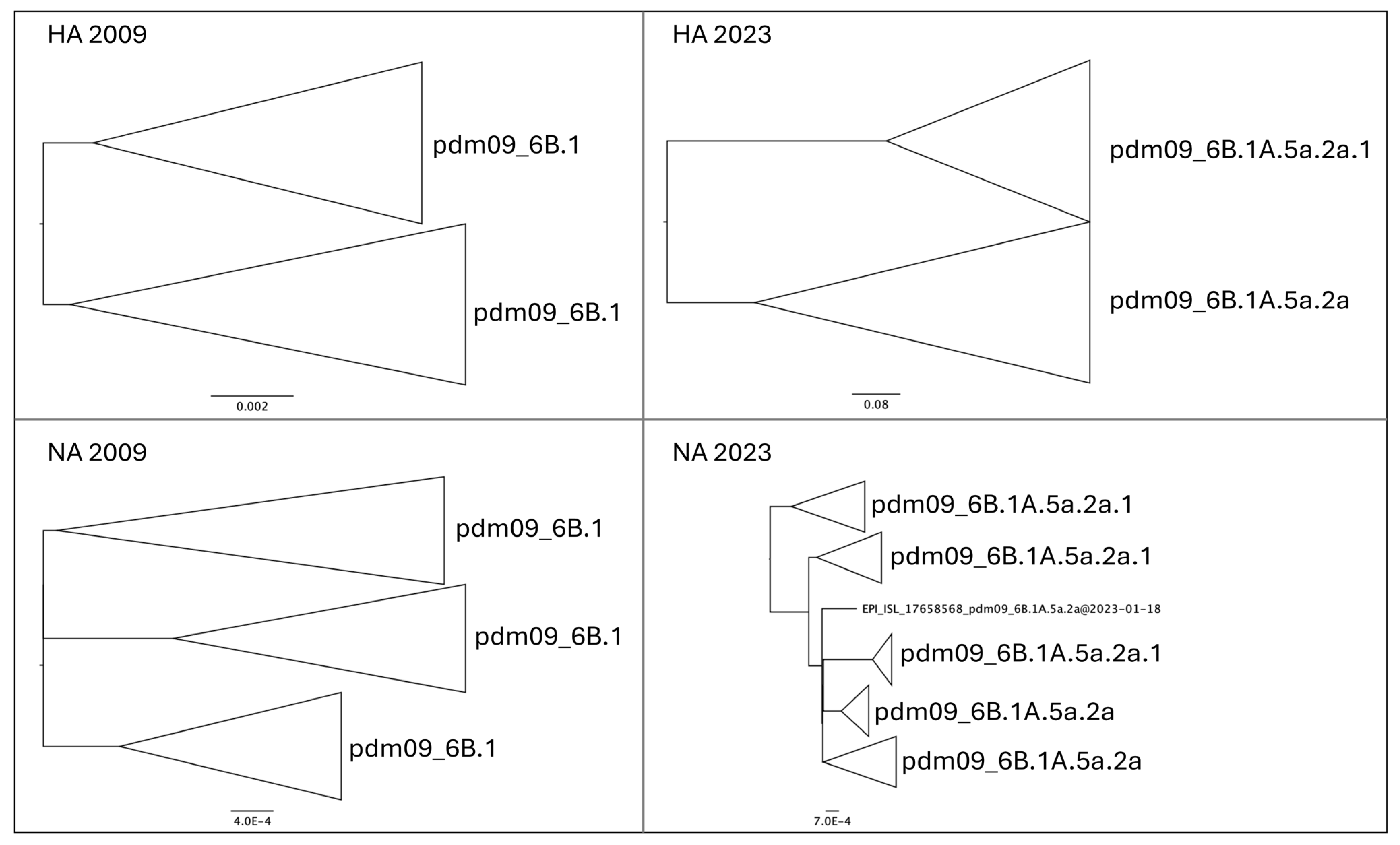 Pathogens 13 00334 g002