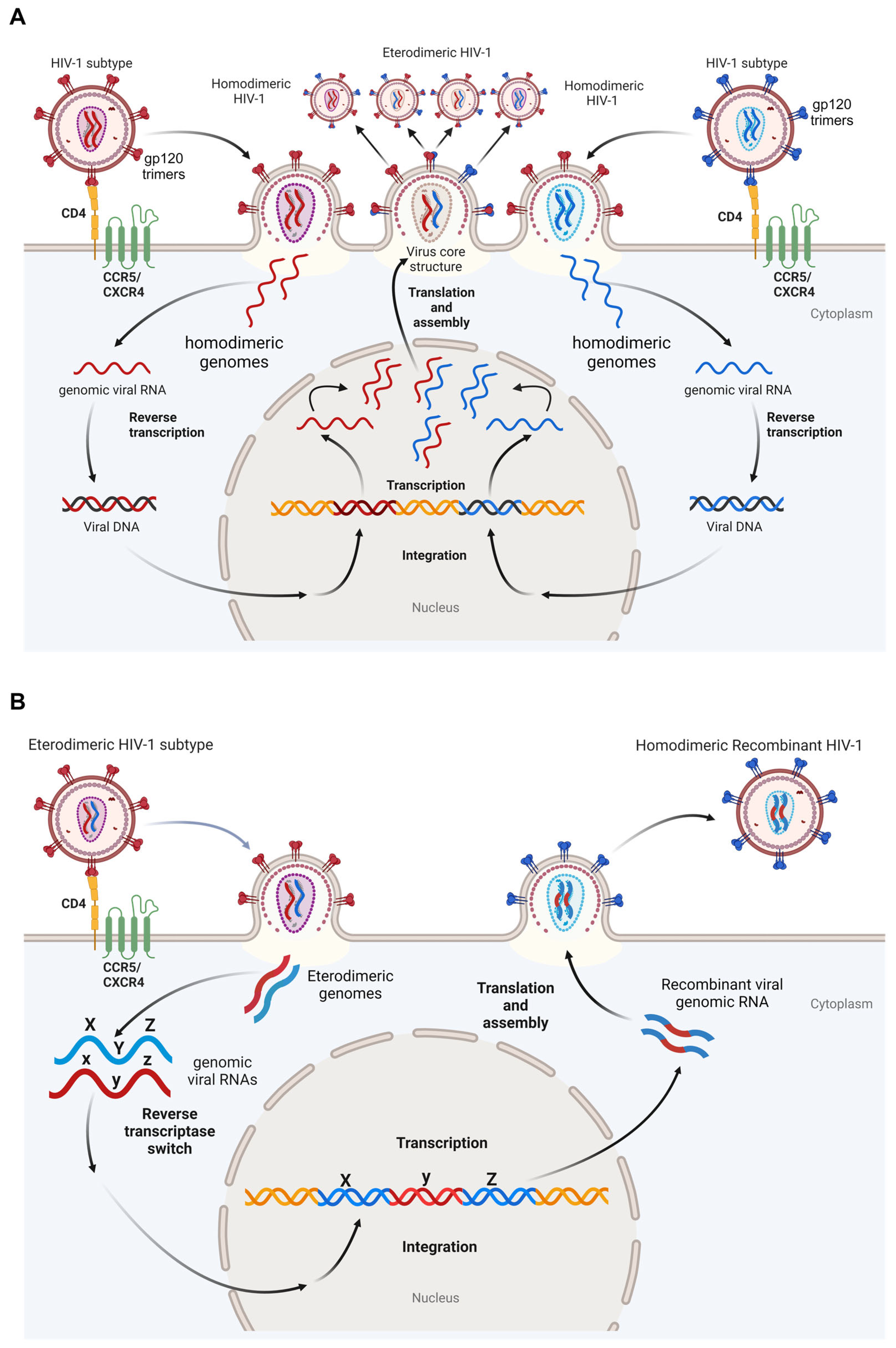 Pathogens 13 00349 g001